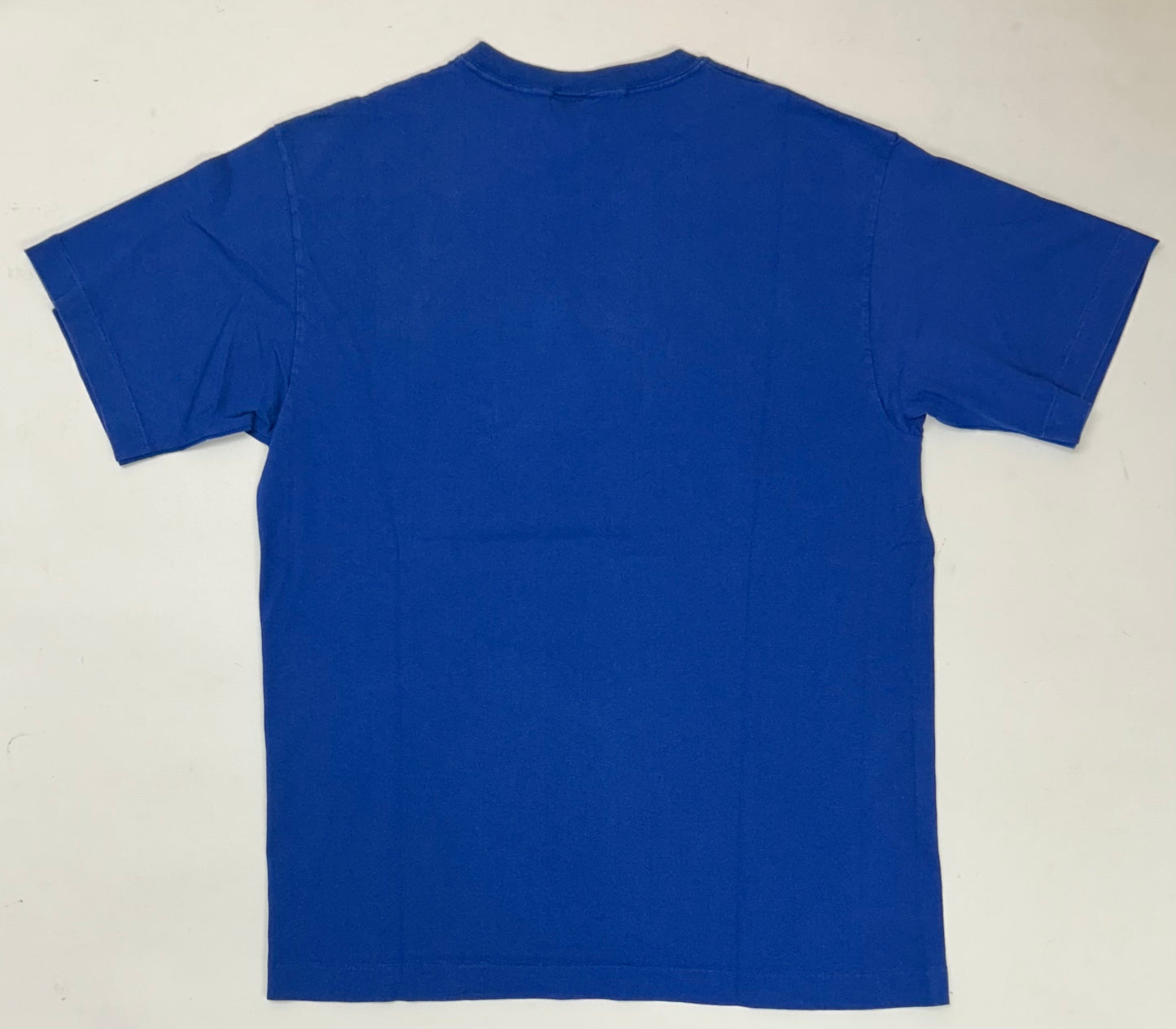 Vintage 1996 Warner Bros. Studio Store Tasmania Devil Taz Graphic Tee Large 21.25x29 Inches Blue