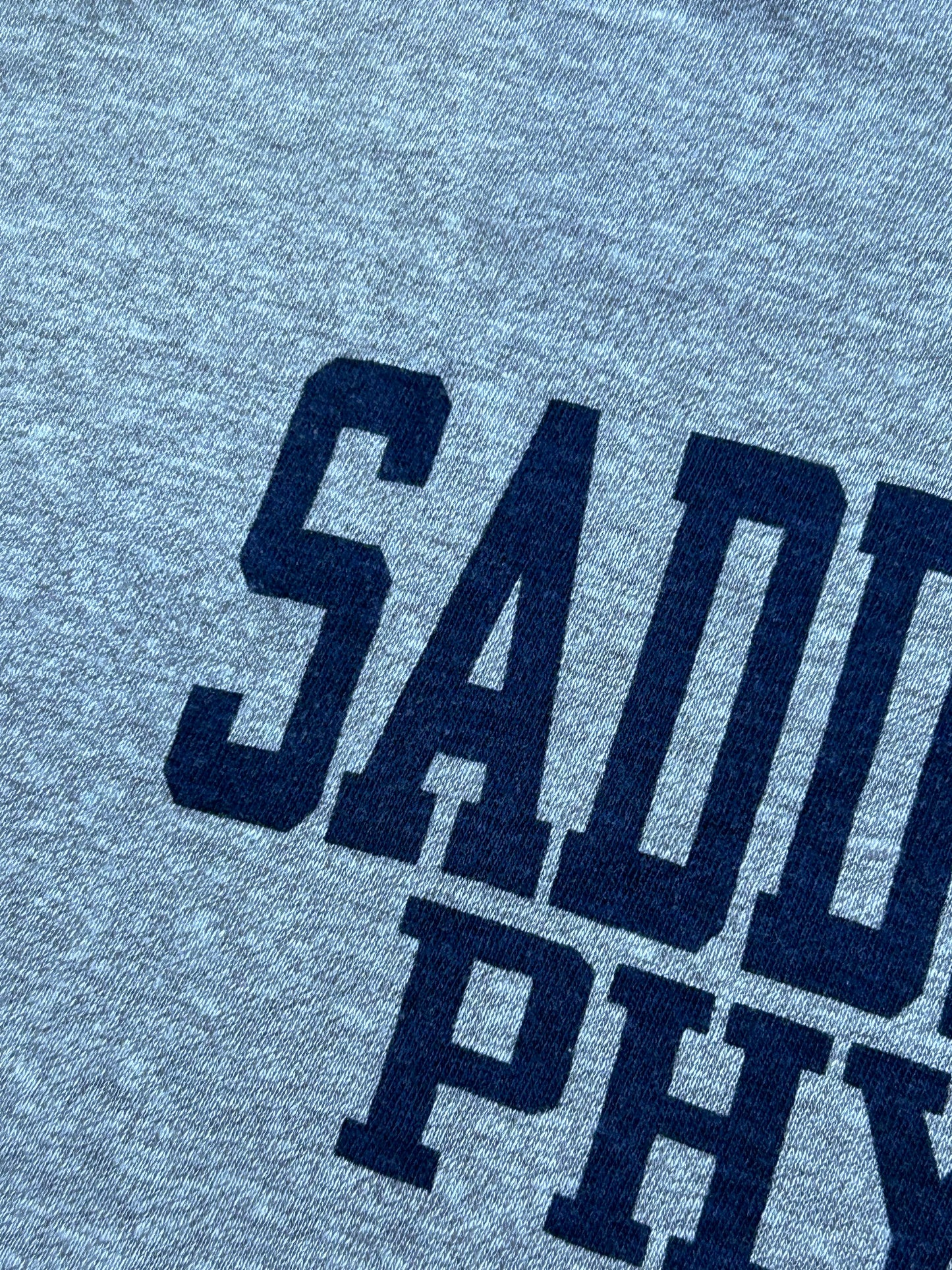 Vintage Champion Saddle River Phys. Ed. Gym Graphic Tee Gray 80s USA 50/50 21.75x26.25 Inches