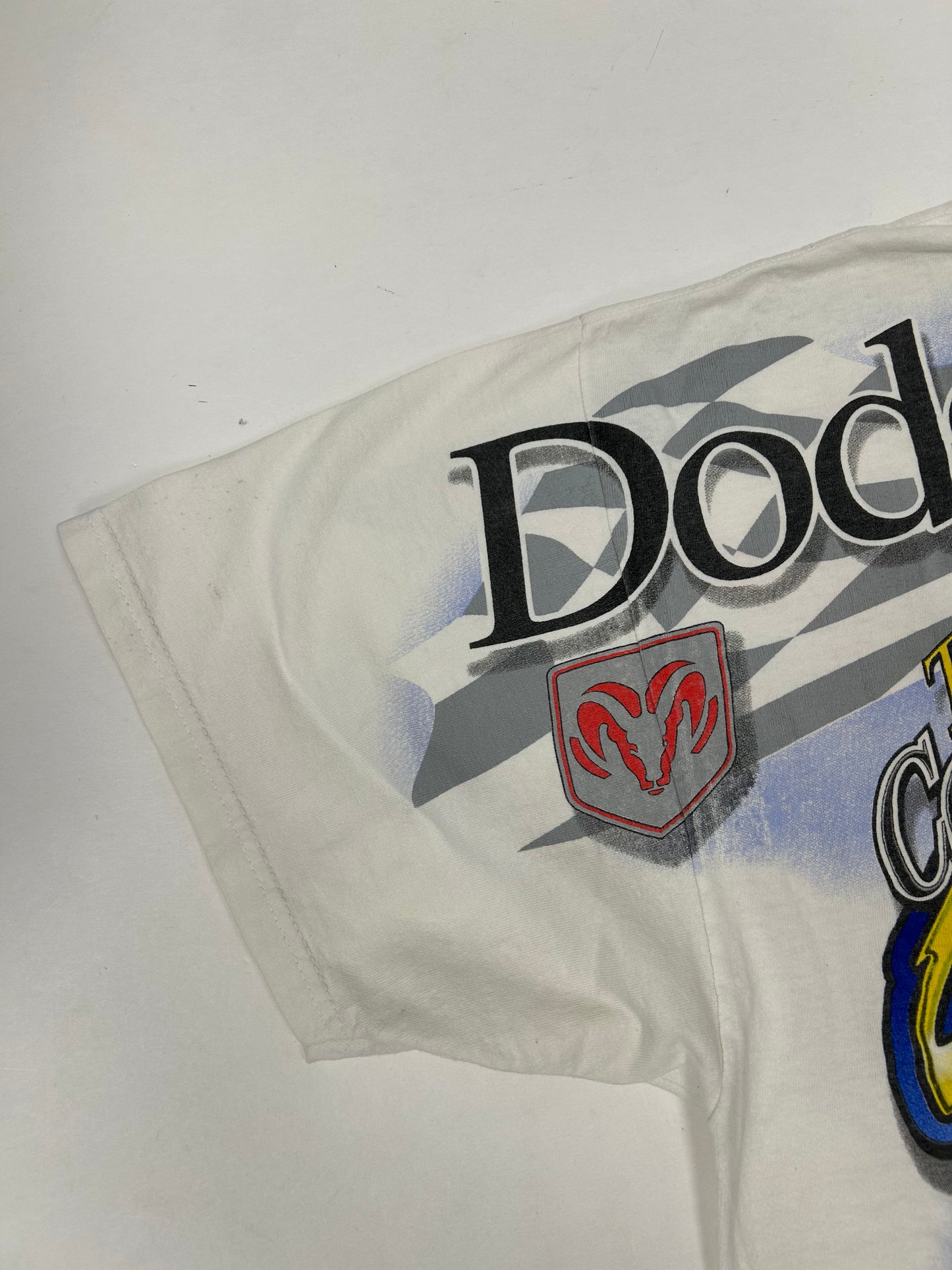 Vintage Chase Authentics NASCAR Dodge R/T Evernham #19 Dare To Be Different XL 25x29.5 Inches As Is