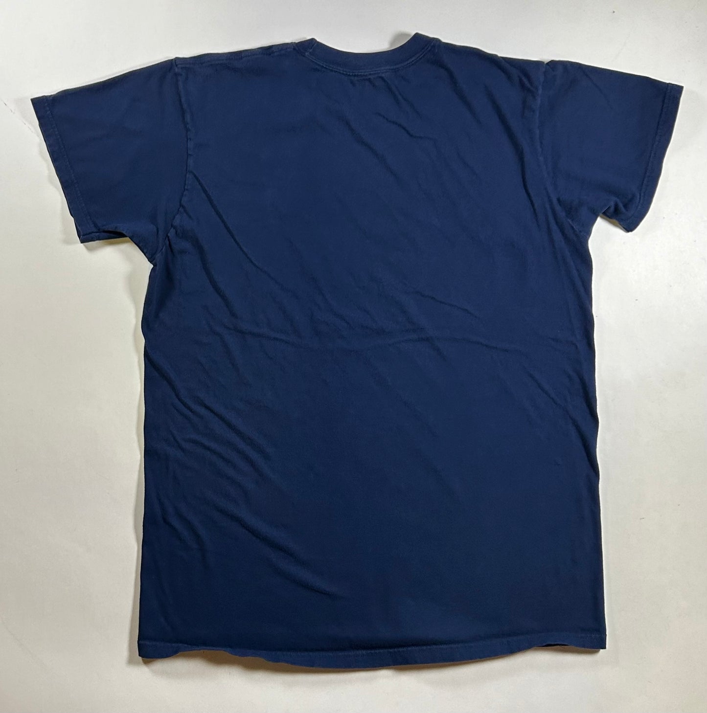 Vintage Phish Band Tee Rainbow Fish Concert Rock T-Shirt 00s Print Fits L/M 21x28.25 Inches