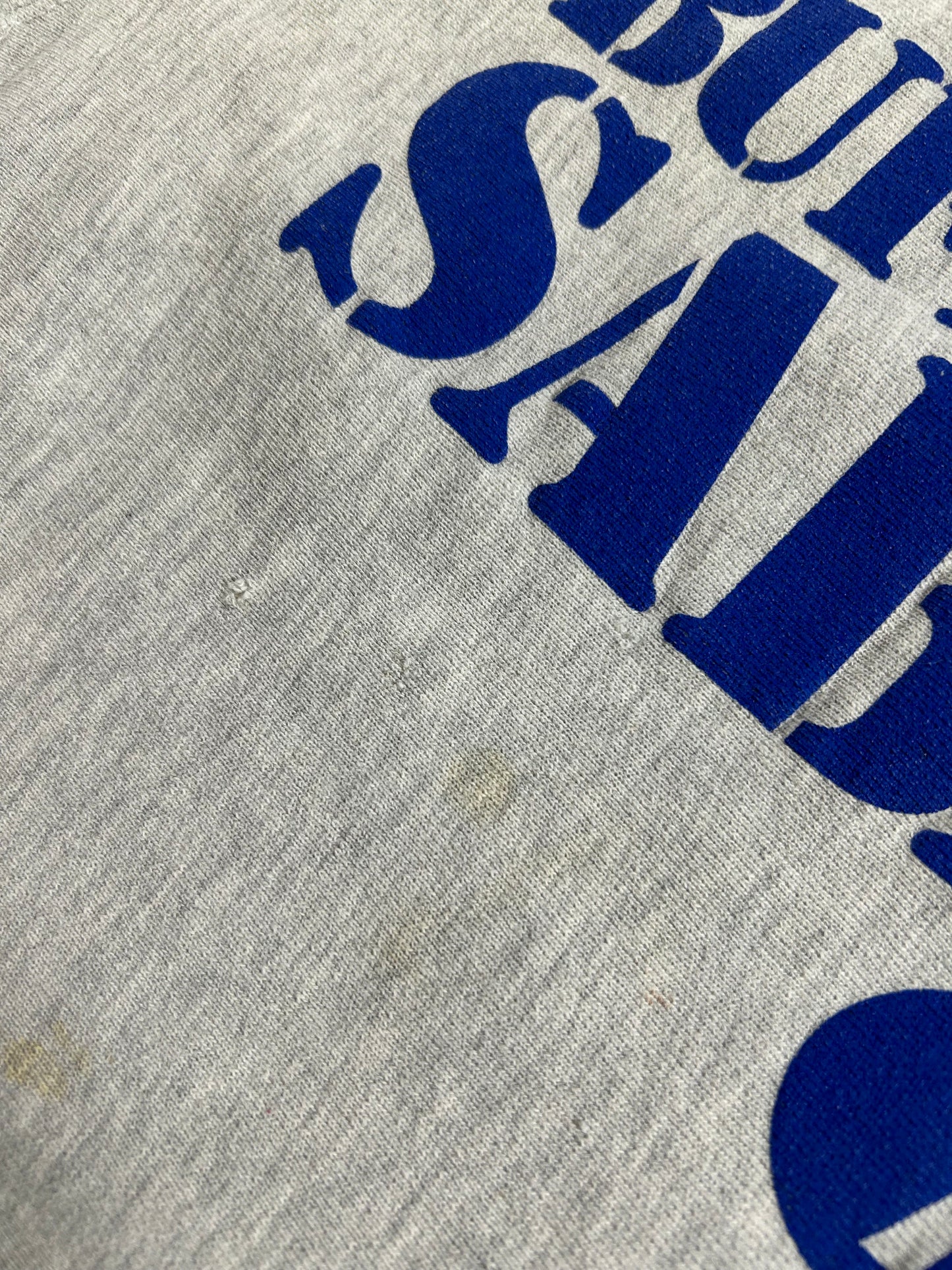 Vintage Buffalo Sabres NHL Champion Reverse Weave Crewneck Sweatshirt 21.75x27.5 Inches Mediumish/Smallish Fit As Is Has Wear