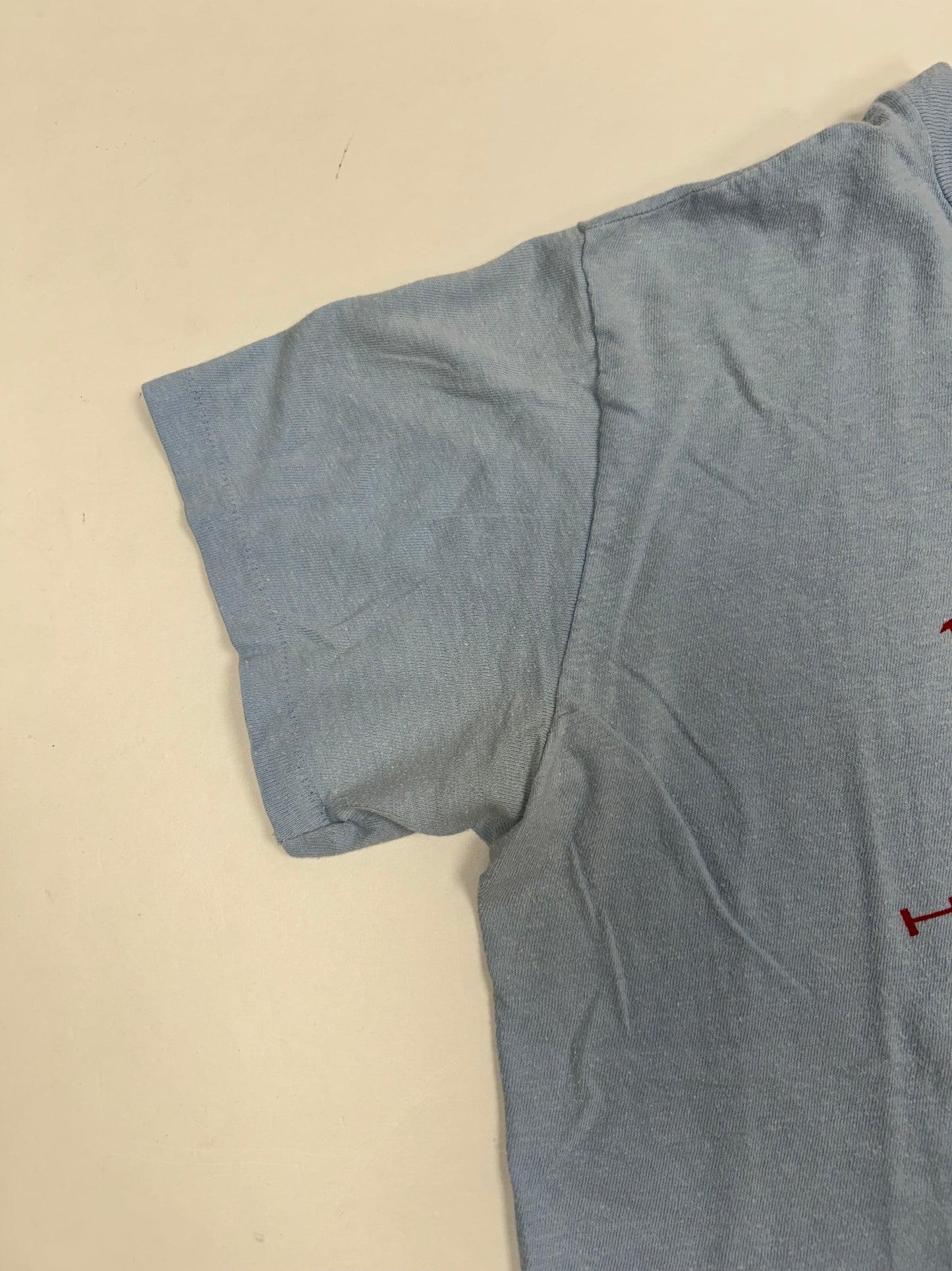 Vintage Bugs & Drugs 70s Hanes Tag Tee Small Fit 18.75x24.5 Inches