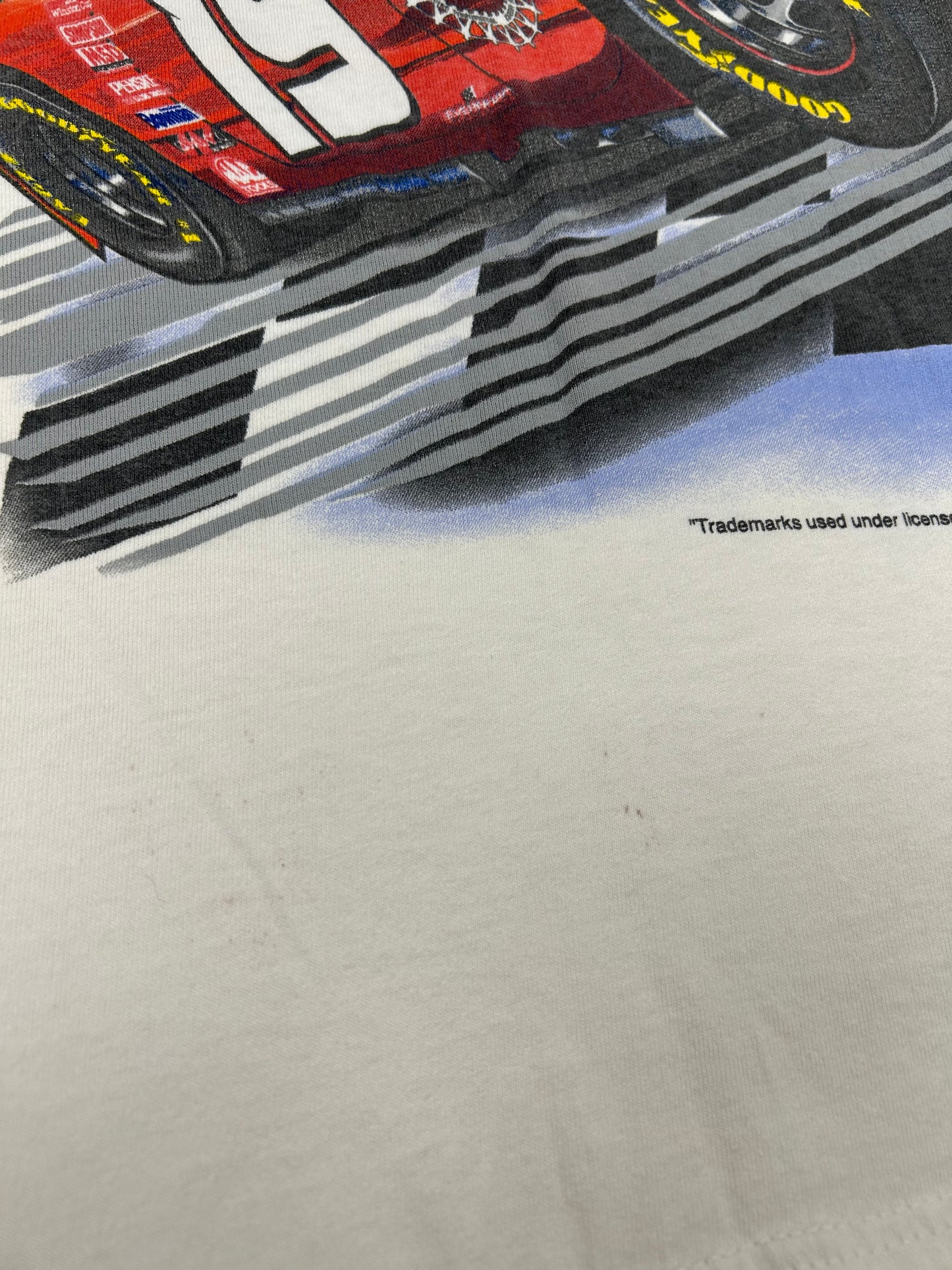 Vintage Chase Authentics NASCAR Dodge R/T Evernham #19 Dare To Be Different XL 25x29.5 Inches As Is