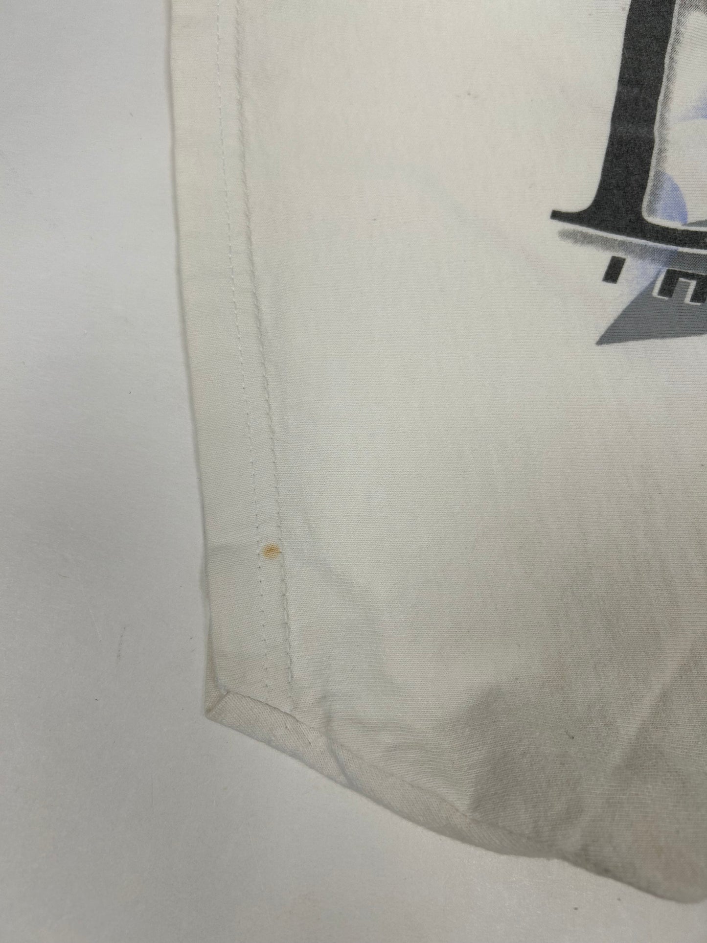 Vintage Chase Authentics NASCAR Dodge R/T Evernham #19 Dare To Be Different XL 25x29.5 Inches As Is