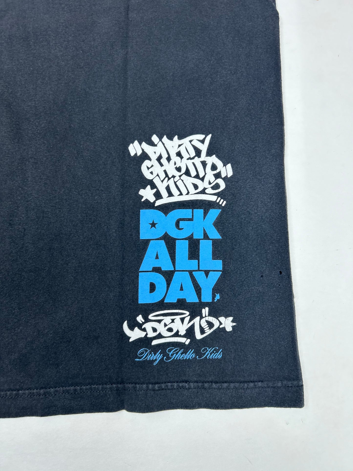 Vintage 2000s DGK Dirty Ghetto Kids Sky’s Not The Limit Skate Tee Skateboarding XL 23.5x30 Inches
