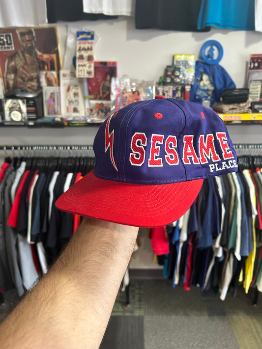 Vintage Sesame Place Sesame Street Snapback Hat 90s Elmo Ernie Clean Embroidery