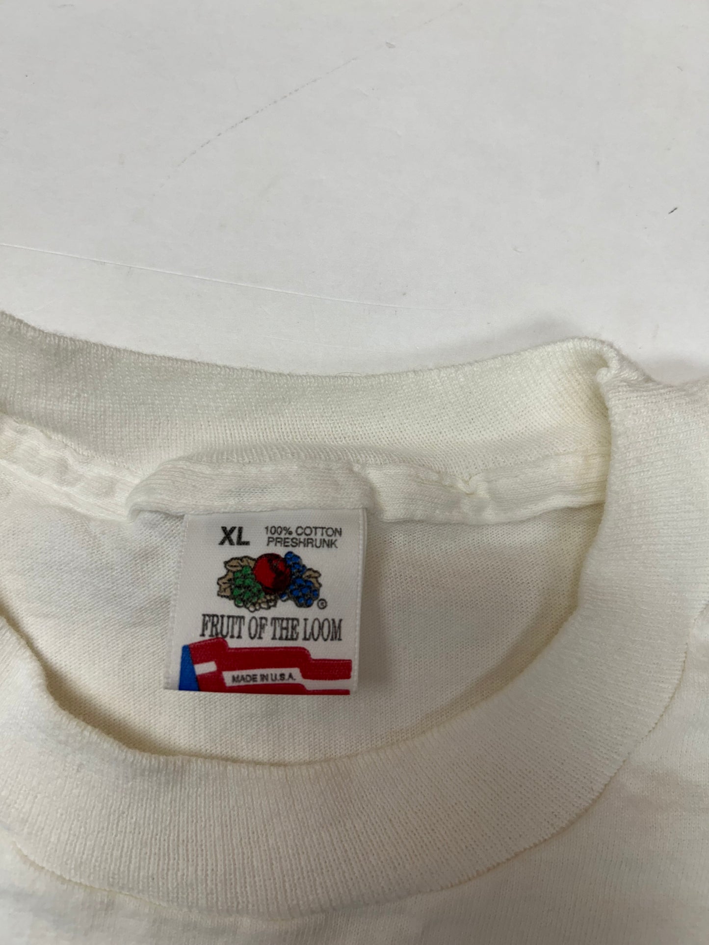 Vintage 1991 Chicago Bulls NBA World Champs Caritcure Team First Championship Salem Sportswear Graphic Tee L/XL 22.25x30.75 Inches