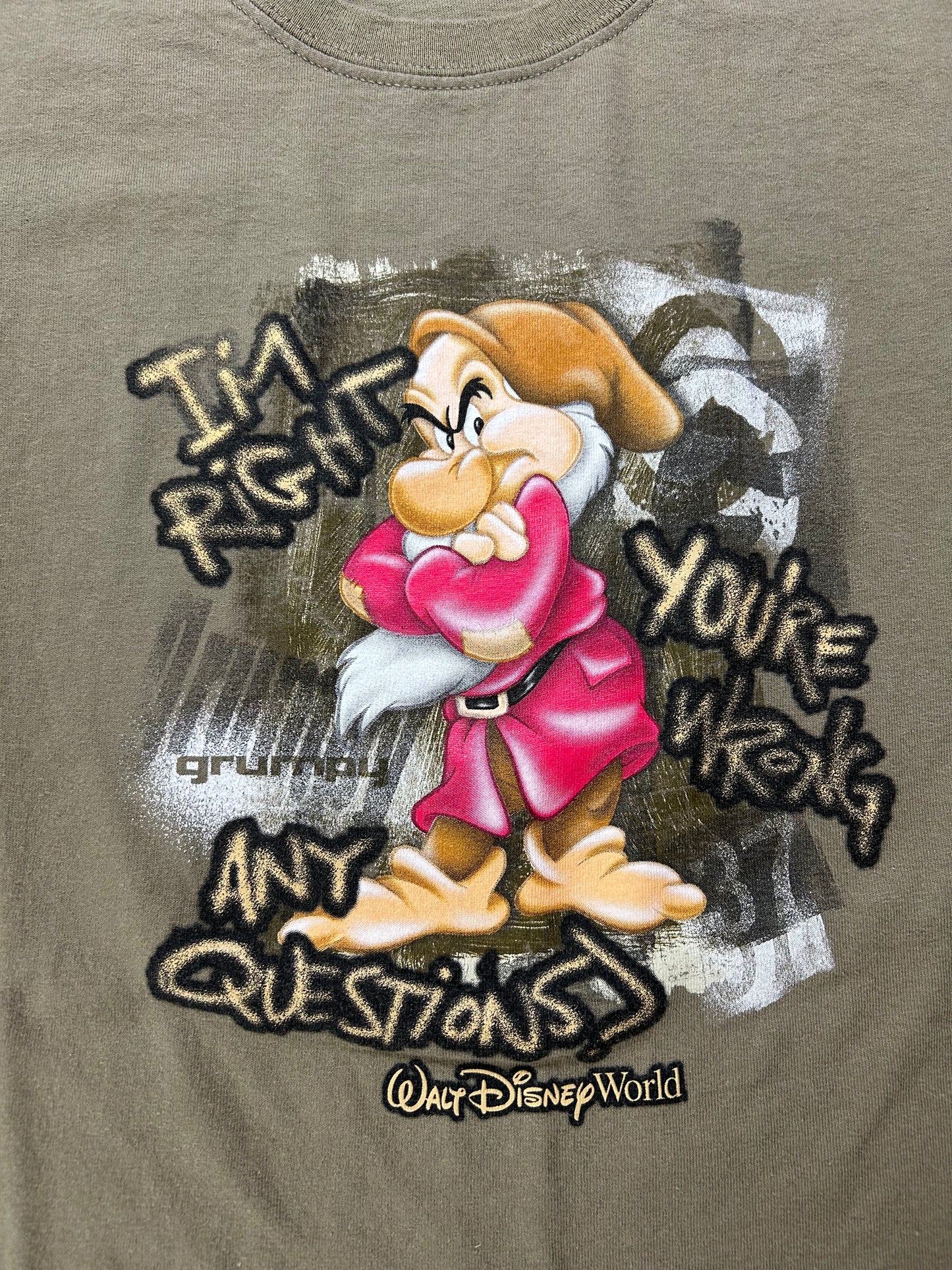 Vintage 00s Walt Disney World Grumpy Dwarf I’m Right You’re Wrong Any Questions Tee XL 23.75x29.25 Inches
