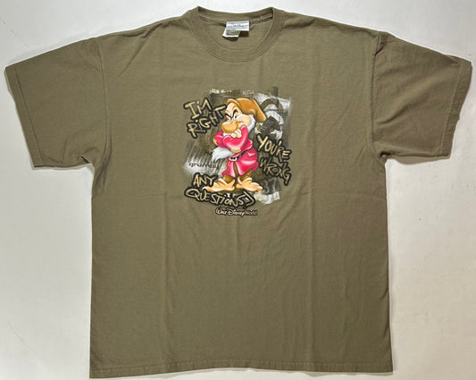 Vintage 00s Walt Disney World Grumpy Dwarf I’m Right You’re Wrong Any Questions Tee XL 23.75x29.25 Inches