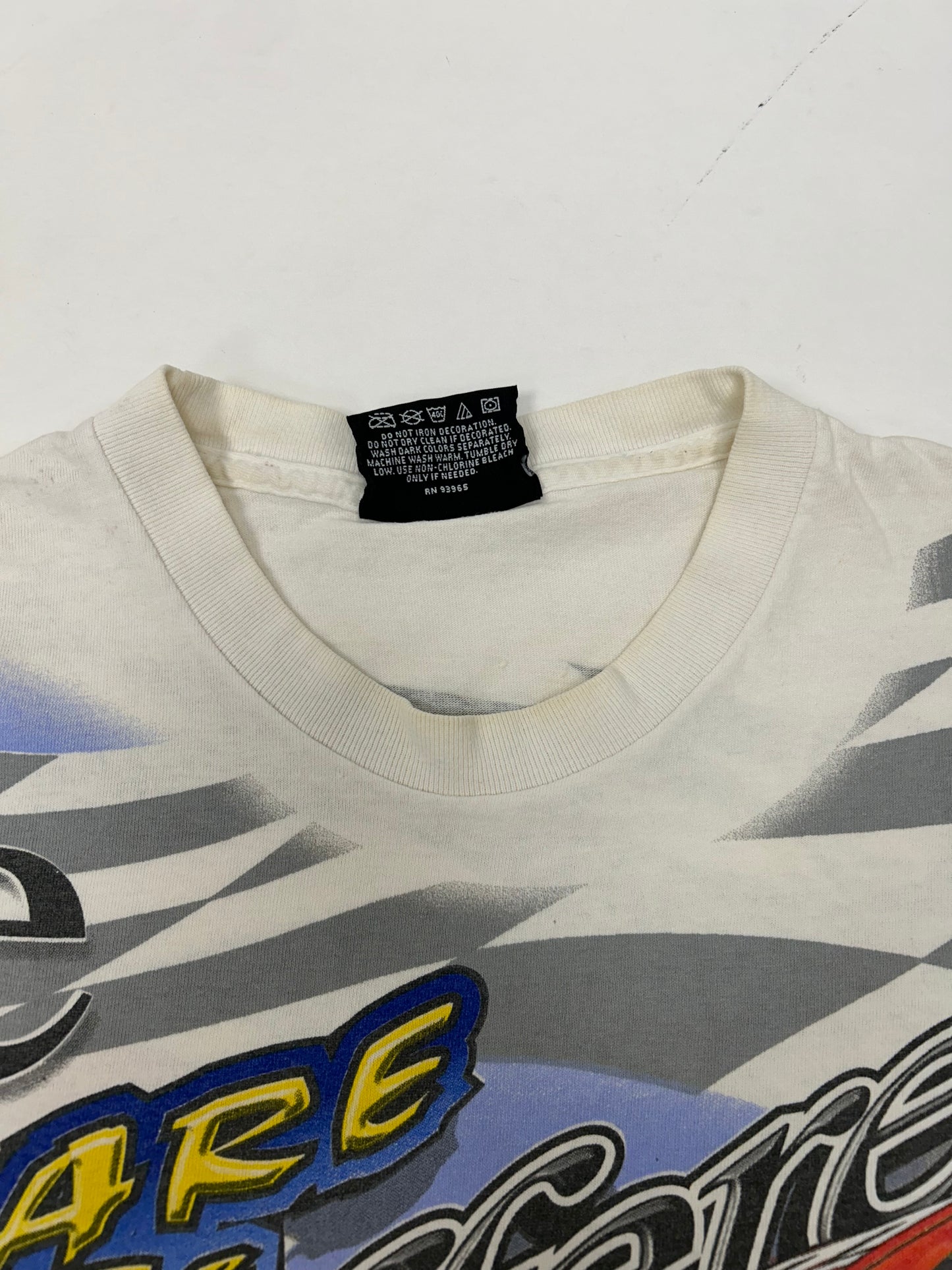 Vintage Chase Authentics NASCAR Dodge R/T Evernham #19 Dare To Be Different XL 25x29.5 Inches As Is