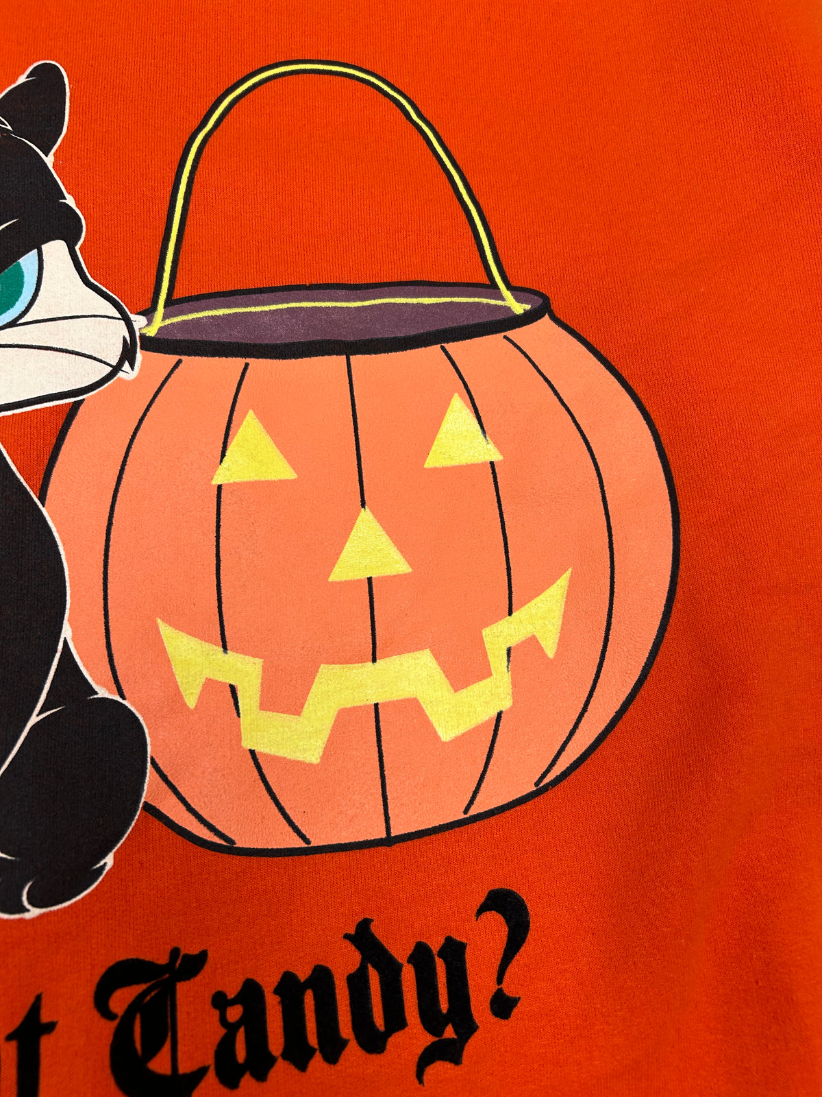 Vintage 2004 Looney Tunes Halloween Got Candy? Cat & Pumpkin Graphic Crewneck Sweatshirt L/XL Fit 24.75x30 Inches