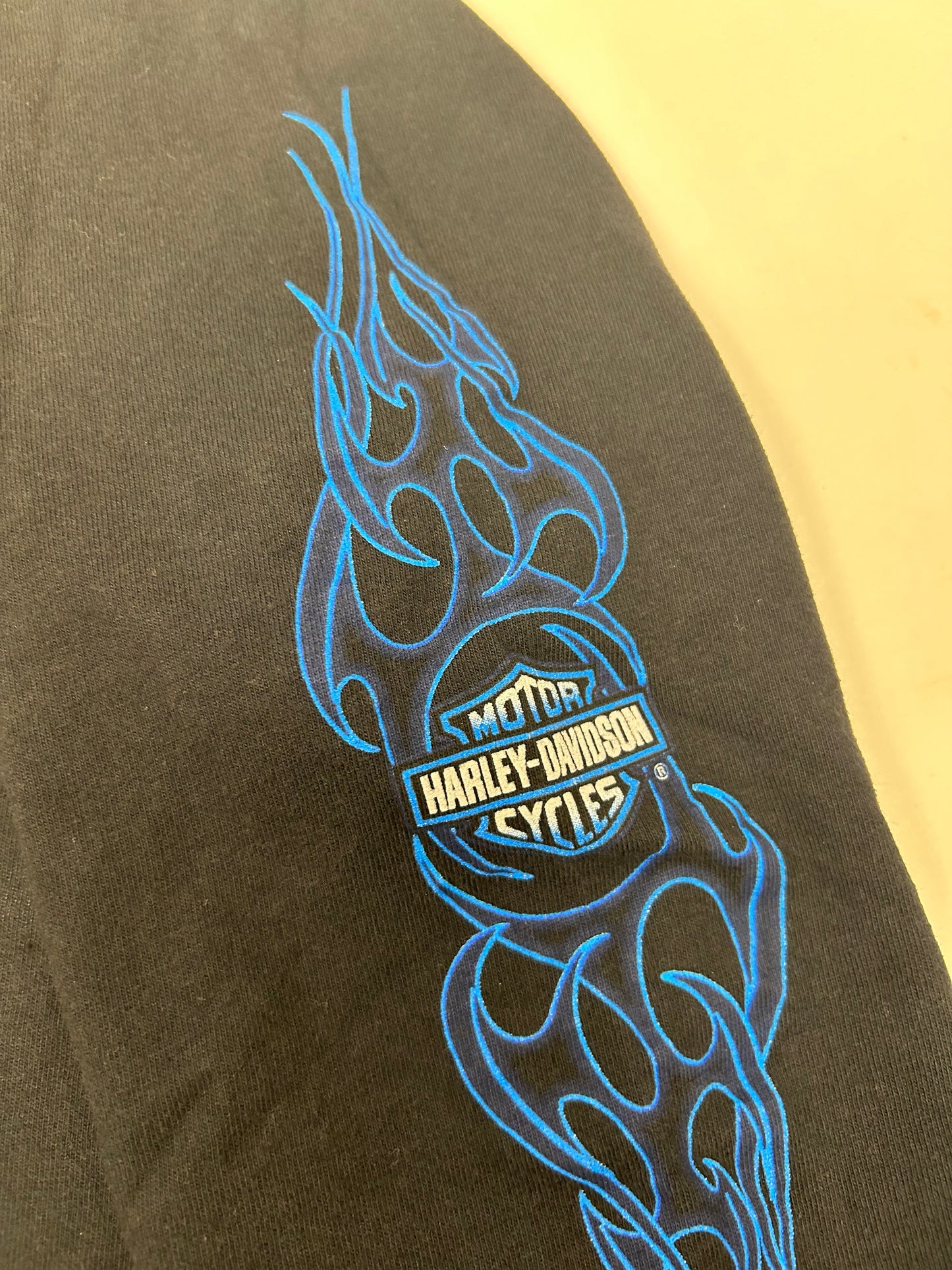 Vintage 2000s Harley Davidson Motorcycles Tilley’s Historic Salisbury, NC Flame Long Sleeve Ride It Hot Tee Small 18x28 Inches Black