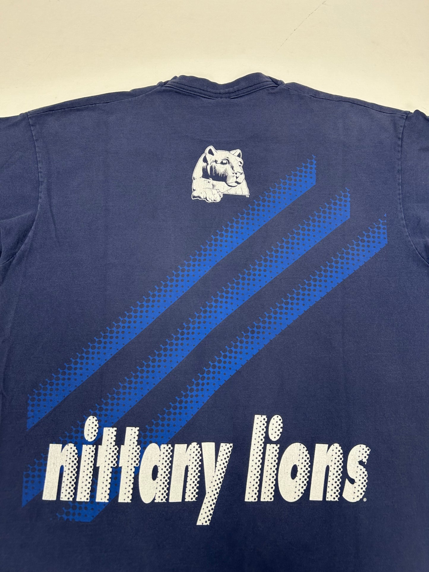 Vintage Salem Sportswear Penn State Nittany Lions NCAA College Tee 24.5x29.75 Inches