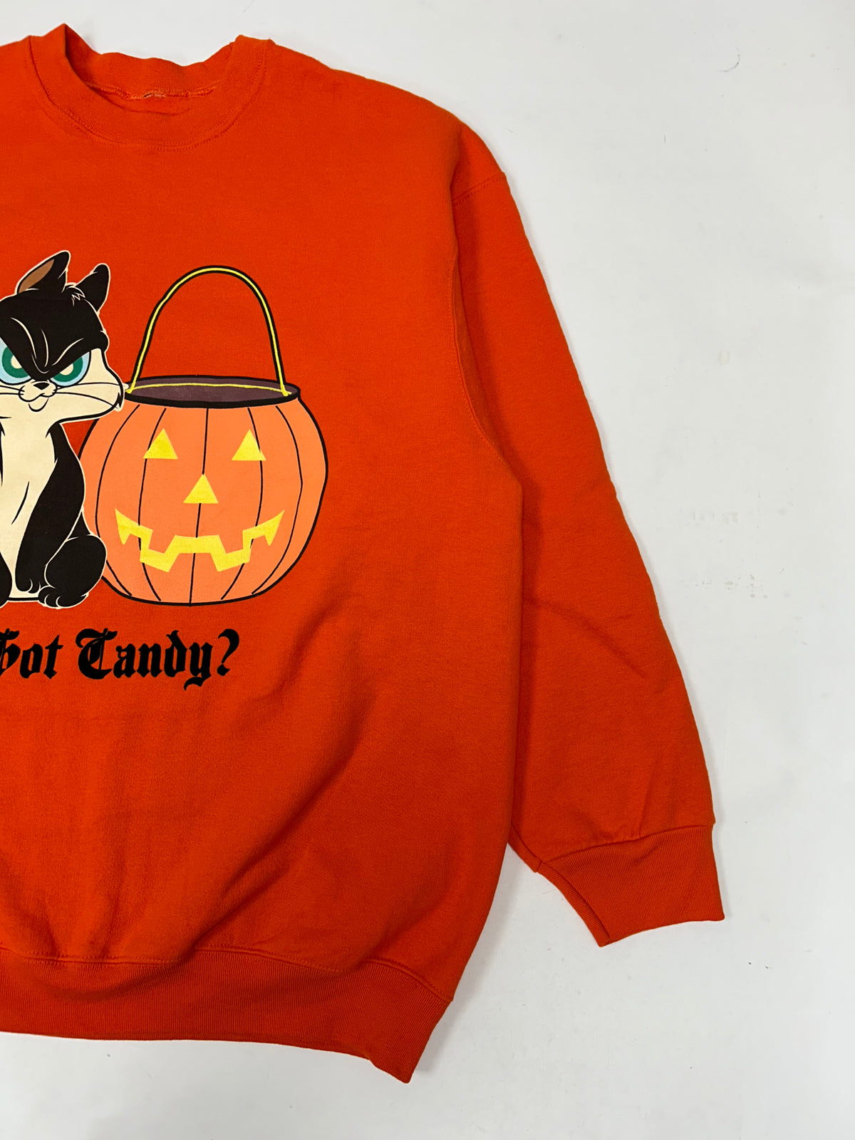 Vintage 2004 Looney Tunes Halloween Got Candy? Cat & Pumpkin Graphic Crewneck Sweatshirt L/XL Fit 24.75x30 Inches