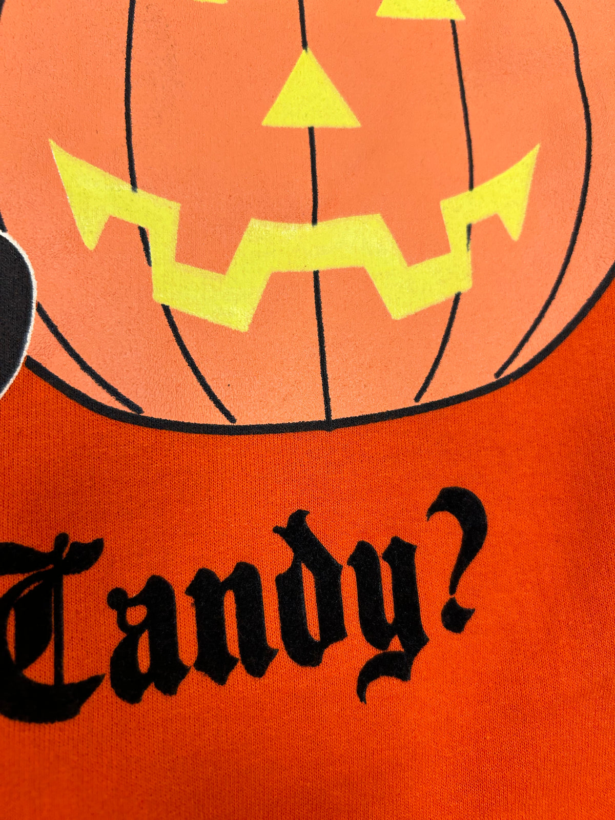 Vintage 2004 Looney Tunes Halloween Got Candy? Cat & Pumpkin Graphic Crewneck Sweatshirt L/XL Fit 24.75x30 Inches