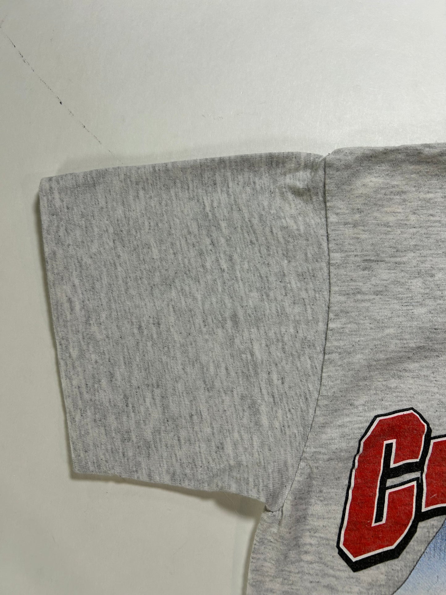 Vintage Starter New York Rangers 1994 NHL Stanley Cup Champions Tee Small 17.25x24.75 Inches Gray