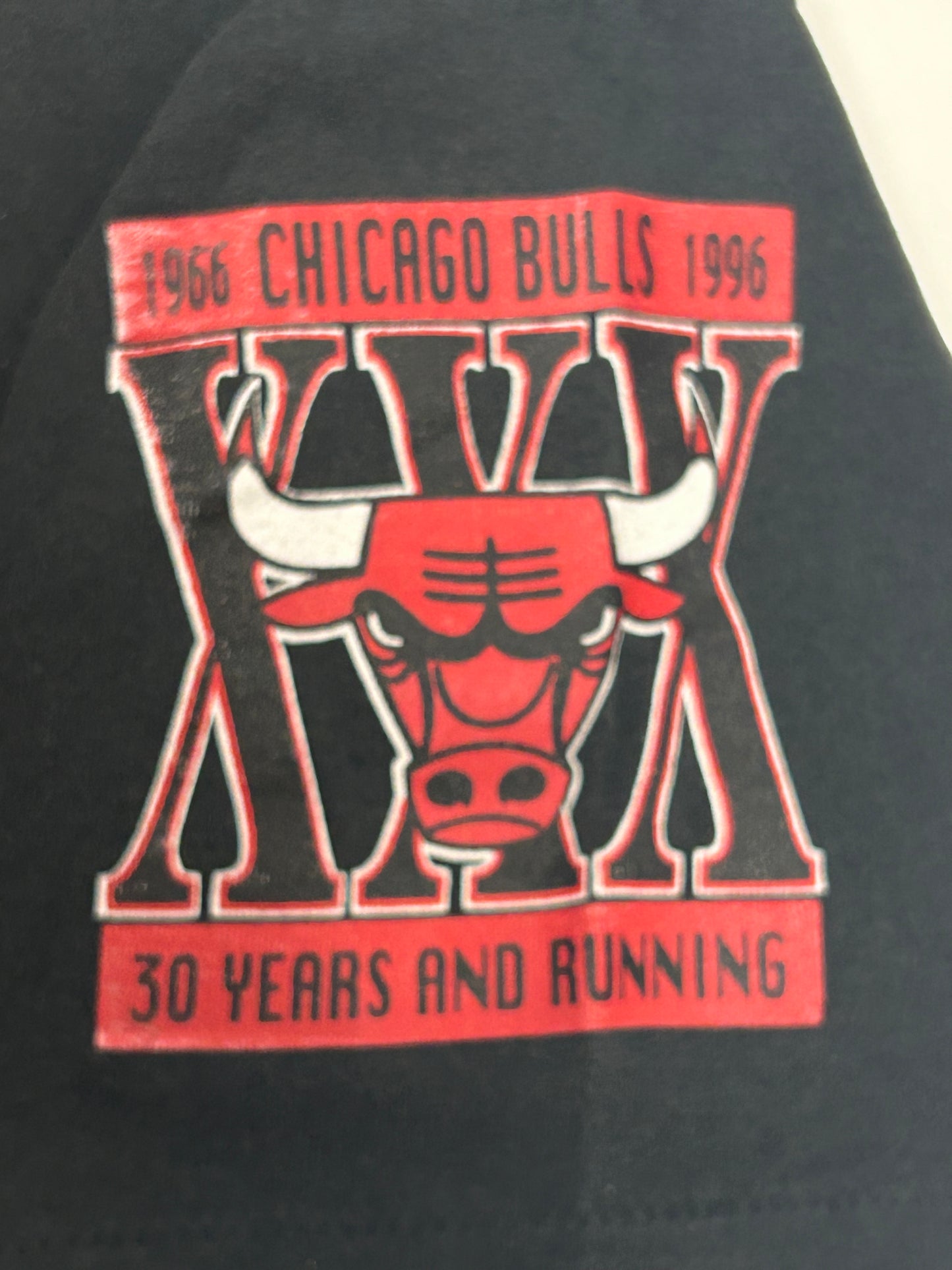 Vintage Chicago Bulls 1995-1996 30 Years And Running Dennis Rodman On The Rebound Tee Large 21.5x28.25 Inches