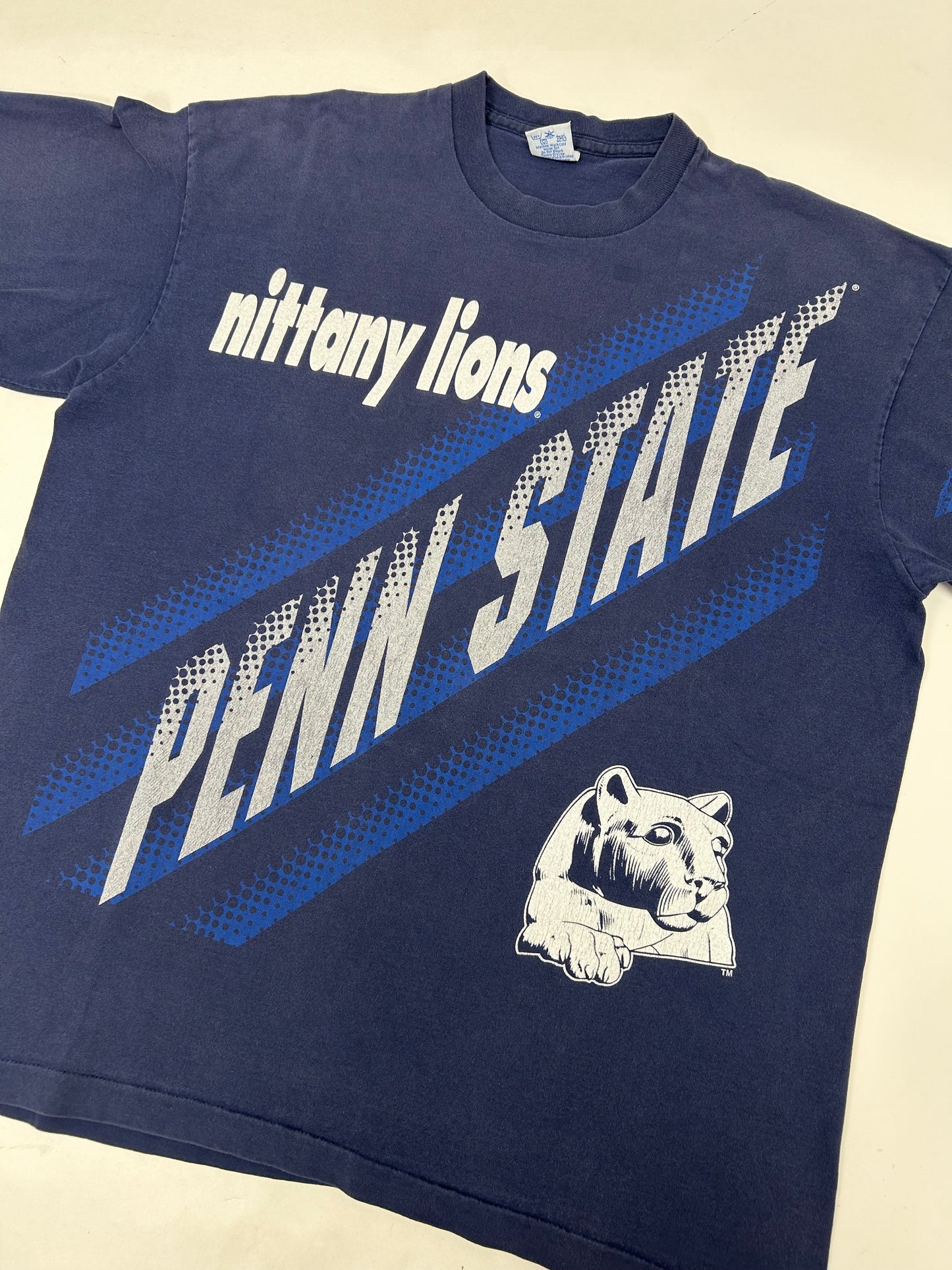 Vintage Salem Sportswear Penn State Nittany Lions NCAA College Tee 24.5x29.75 Inches