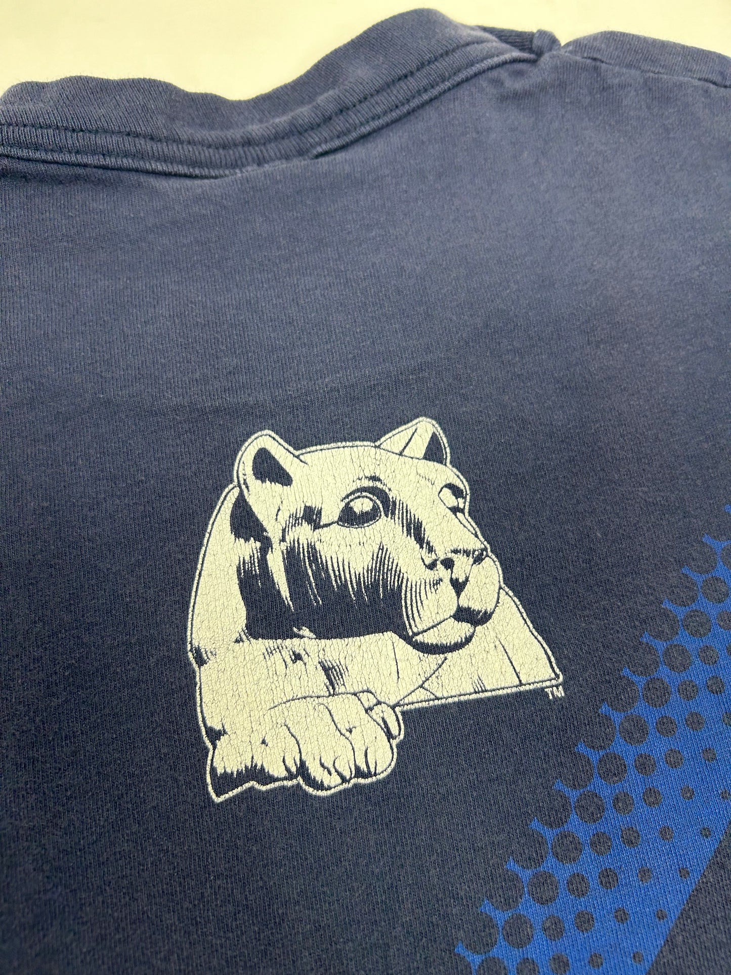 Vintage Salem Sportswear Penn State Nittany Lions NCAA College Tee 24.5x29.75 Inches