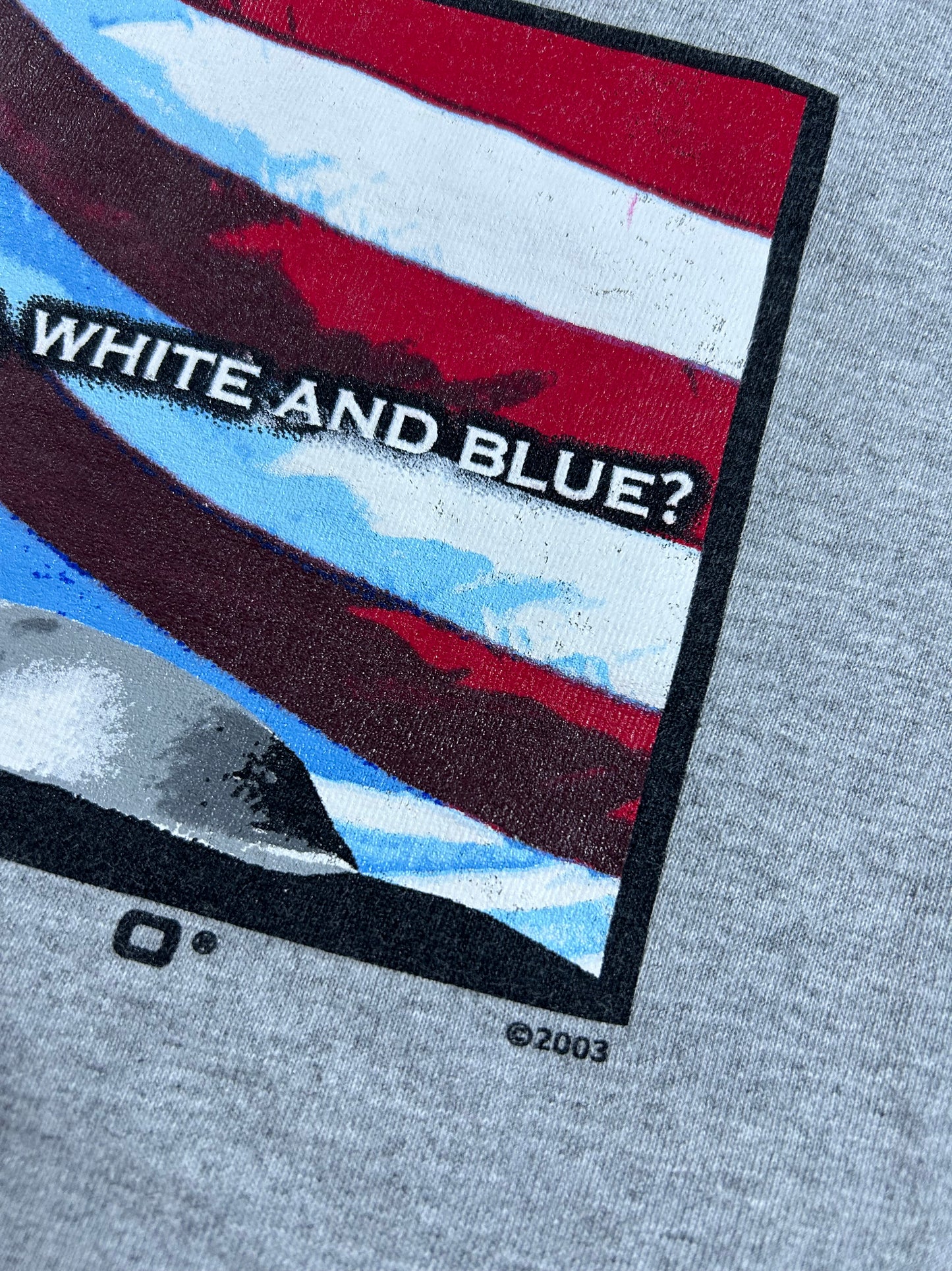 Vintage Speedo Do You Dream In Red, White And Blue? USA Swim T-Shirt Medium 20.25x27 Inches 2003