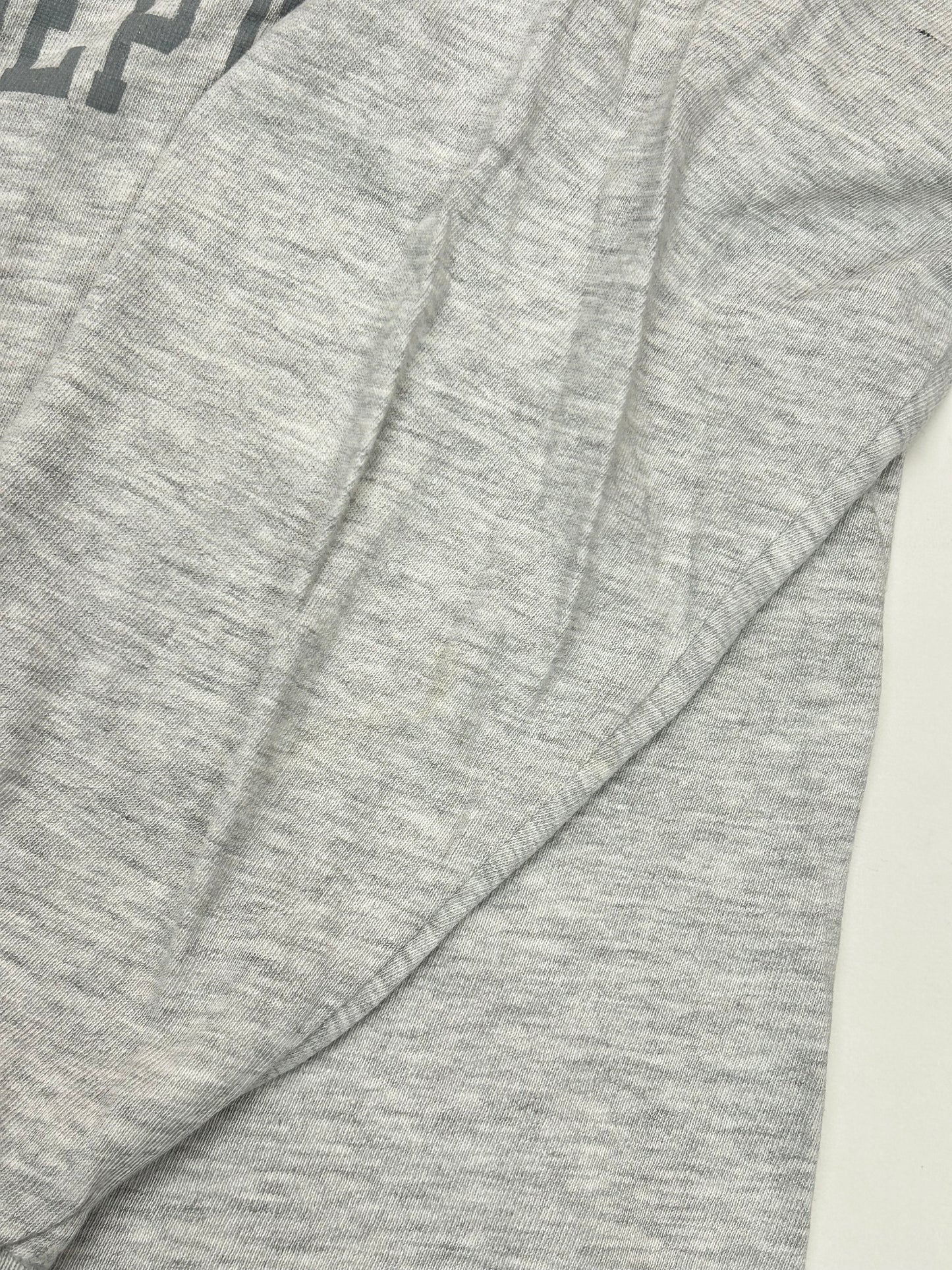 Vintage 90s Canyon Ranch Athletic Dept. Champion Long Sleeve Tee Gray Large 22.5x26.5 Inches