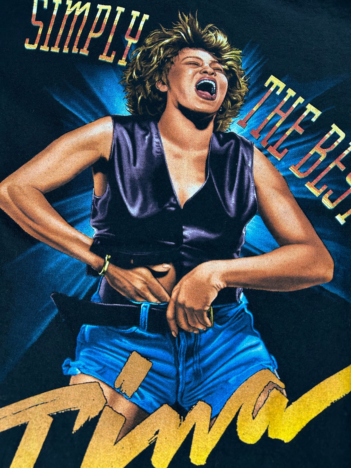Vintage Tina Turner Simply The Best Sony Signatures Music Tee Large 21.25x31.5 Inches