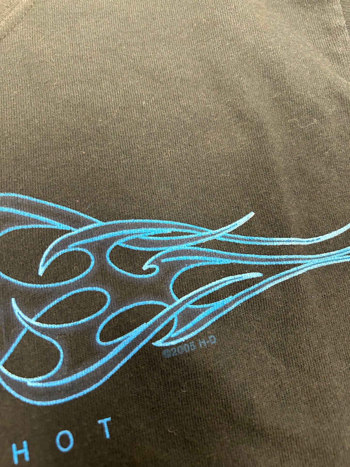 Vintage 2000s Harley Davidson Motorcycles Tilley’s Historic Salisbury, NC Flame Long Sleeve Ride It Hot Tee Small 18x28 Inches Black