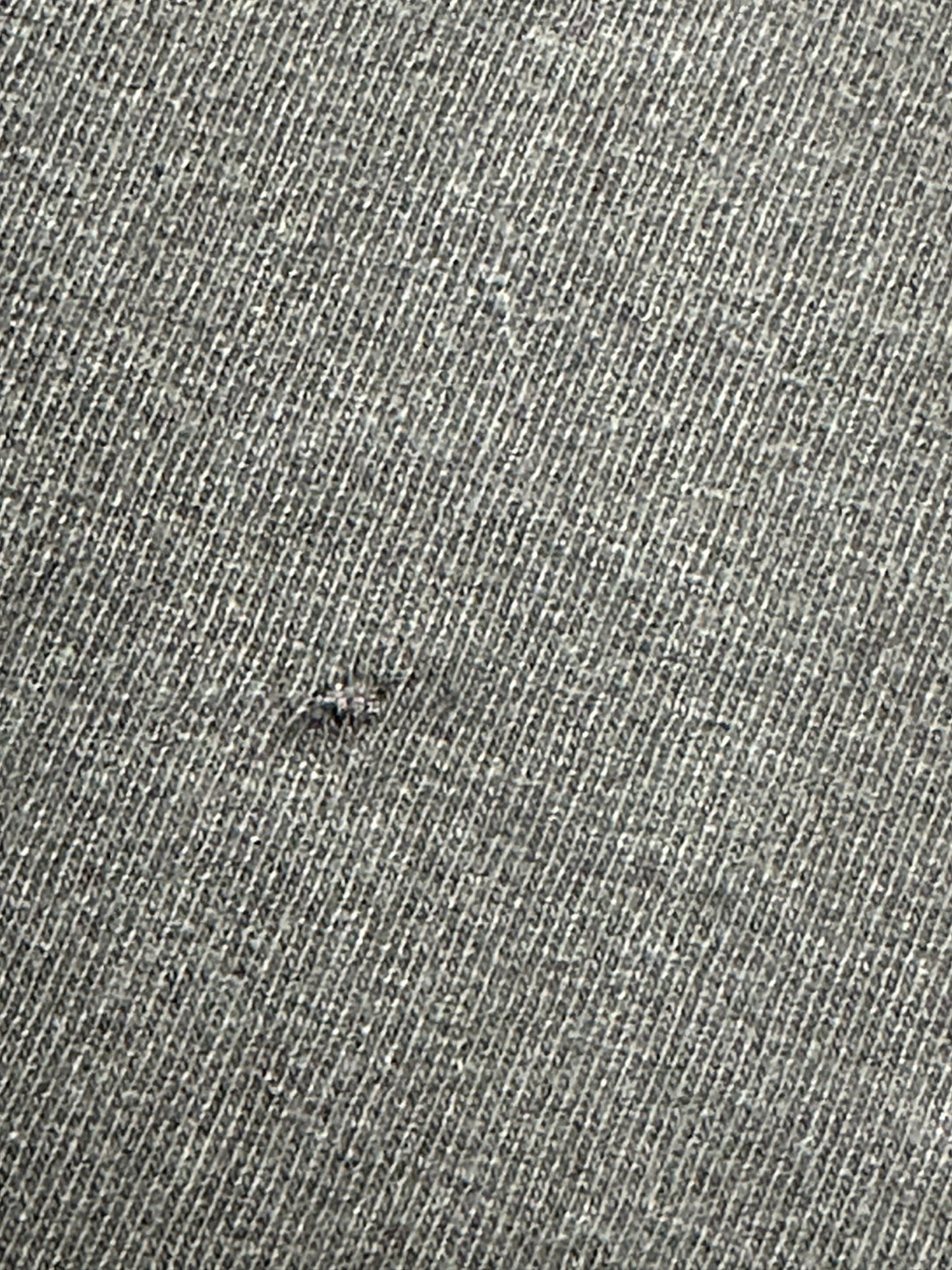 Vintage 90s Harley Davidson Motorcycles Chick’s Albuquerque, N.M. American Legend Tee Large 22.25x28.75 Inches