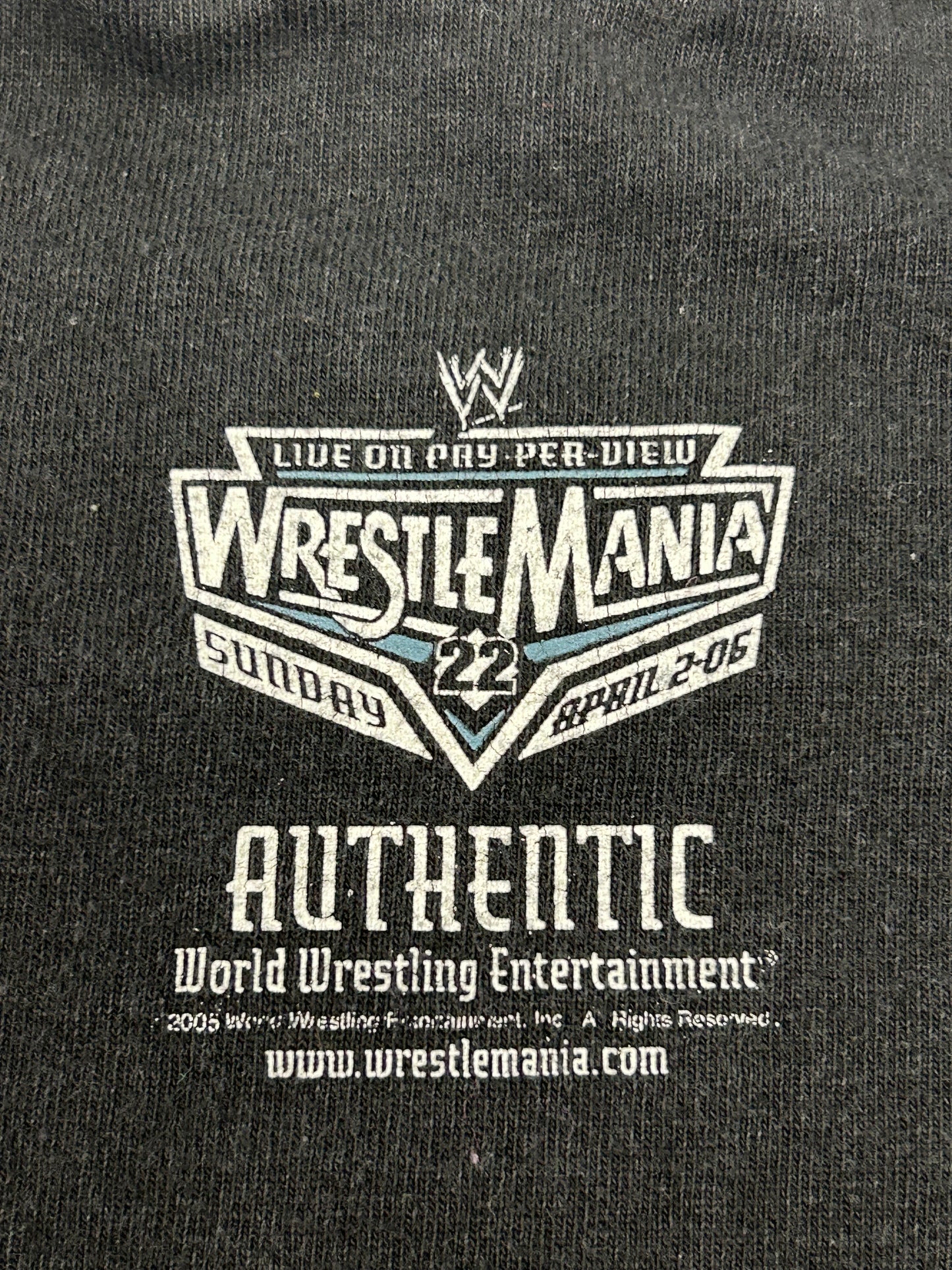 2002 Vintage Matt Hardy “Indestructible Soul” Hardy Boyz Wrestling WWE WWF Tee Size 2XL 25.75x30.75 Inches A