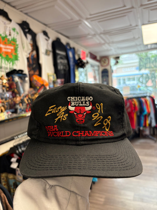 Vintage Chicago Bulls Easy A’s World Championships Hat