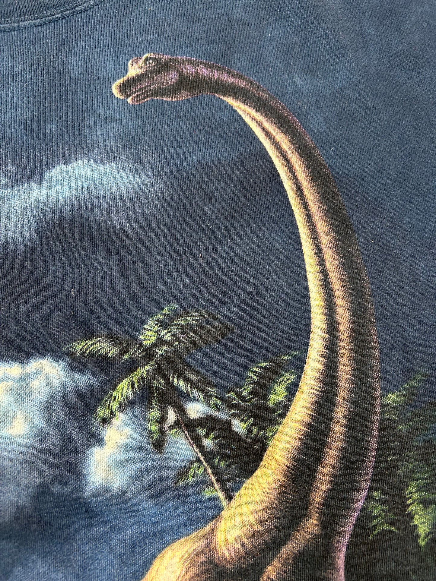 Vintage 2000s Dinosaur Tie-dye Tee XL 25x31 Inches