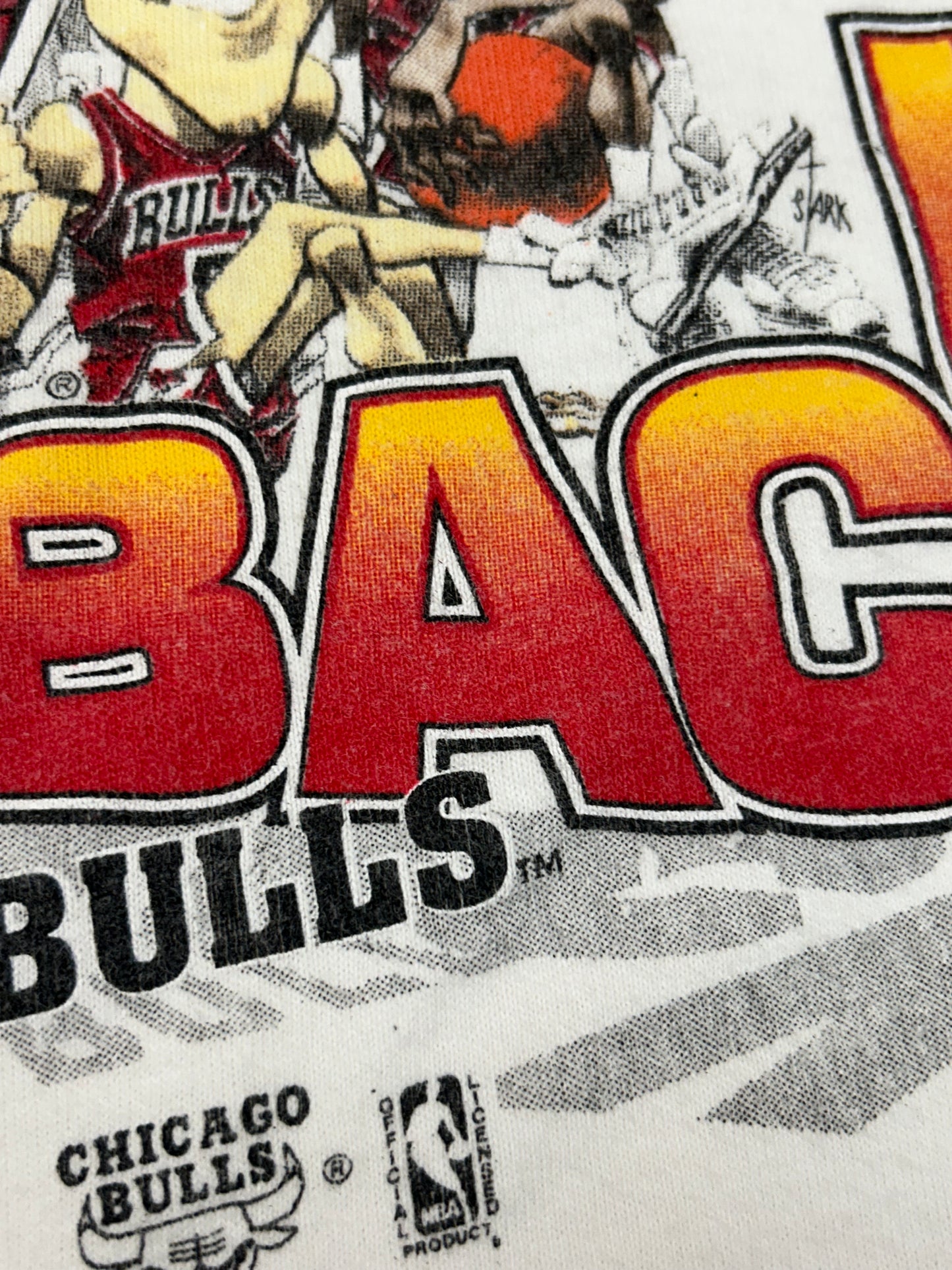 Vintage 1992 Chicago Bulls 2 Time NBA World Champs Caritcure Team Salem Sportswear Graphic Tee Large/Medium Fit 20.75x Inches