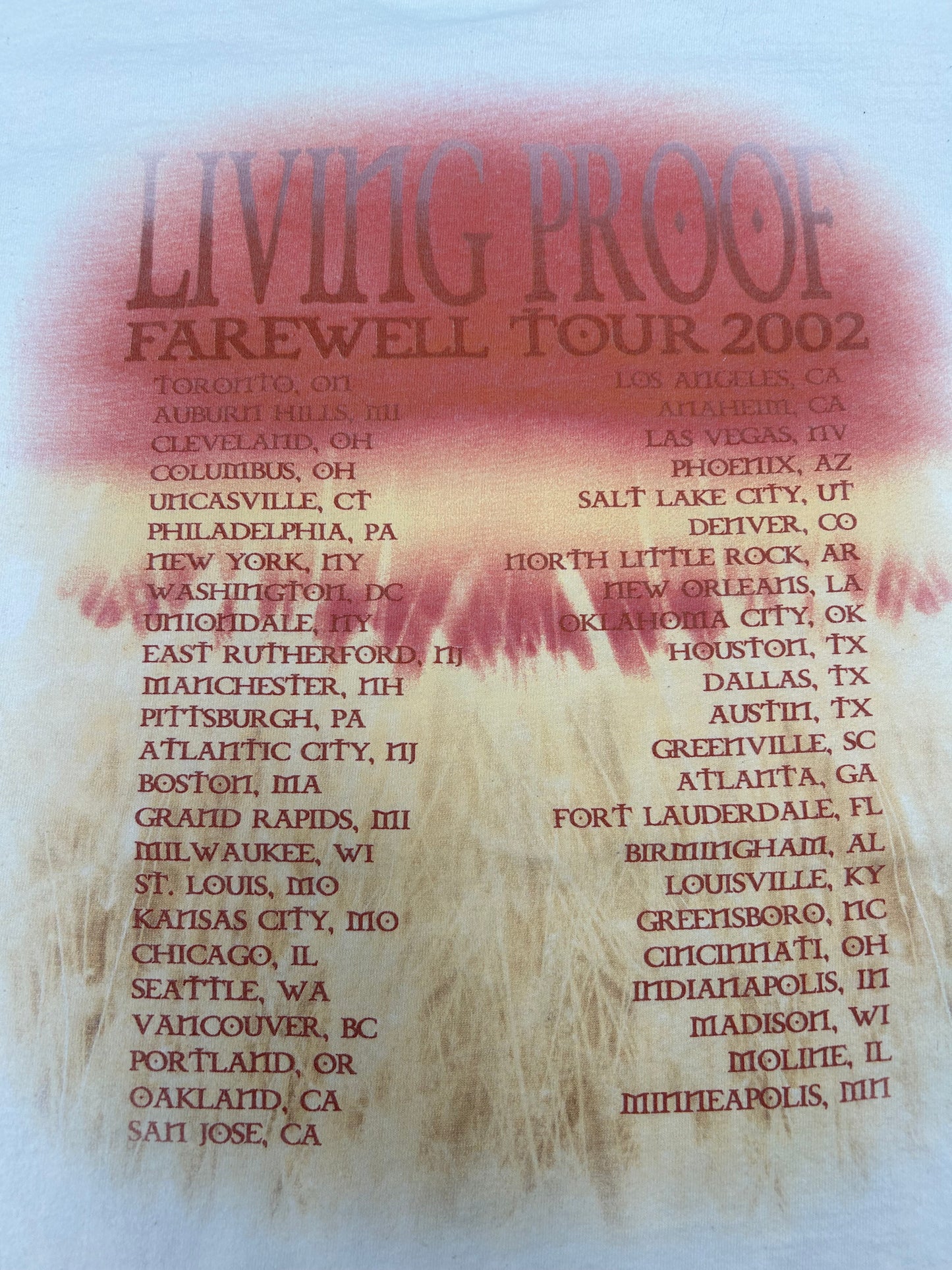 Vintage Cher Living Proof Farewell Tour 2002 Music Shirt Y2K Do You Believe XL 23.5x28.75 Inches
