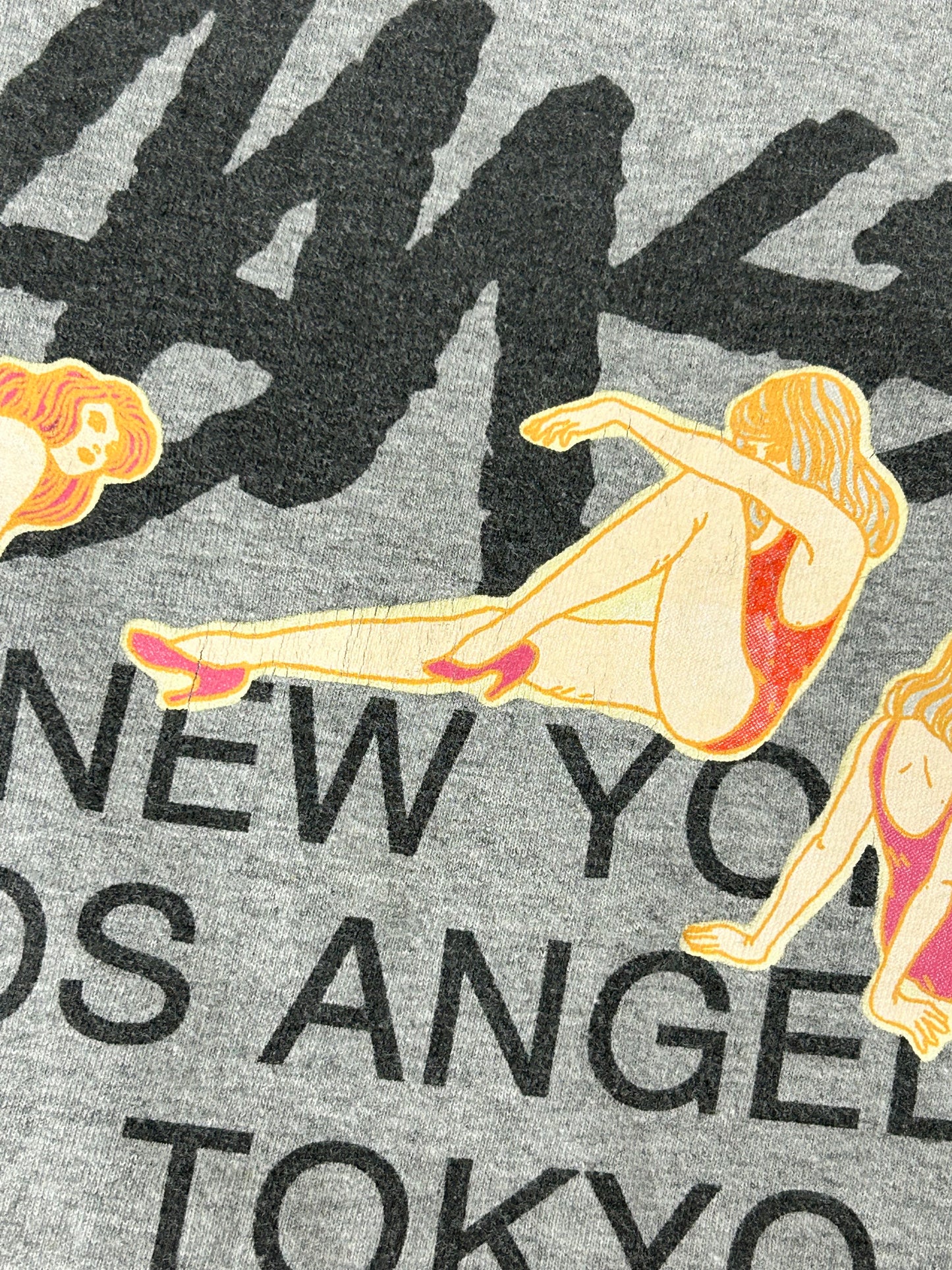 Stussy Worldwide Girls Graphic Pin Up Girls Graphic T-shirt Men Large 22.5x29.75 Inches Stüssy Gray 2000s