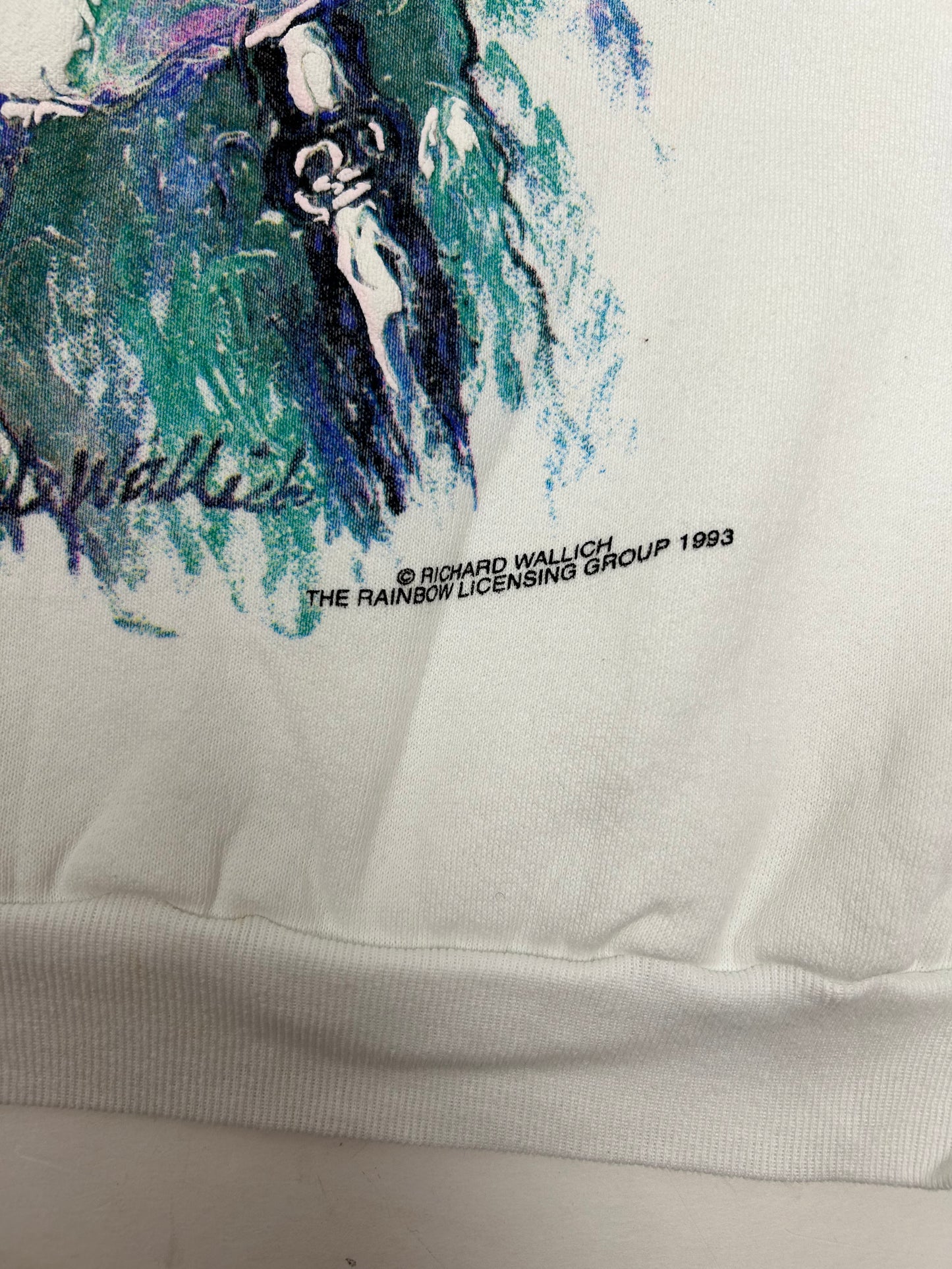 Vintage 1993 Dallas Cowboys NFL Super Bowl XXVII Crewneck Sweatshirt 23.25x28 Inches L/M Fit