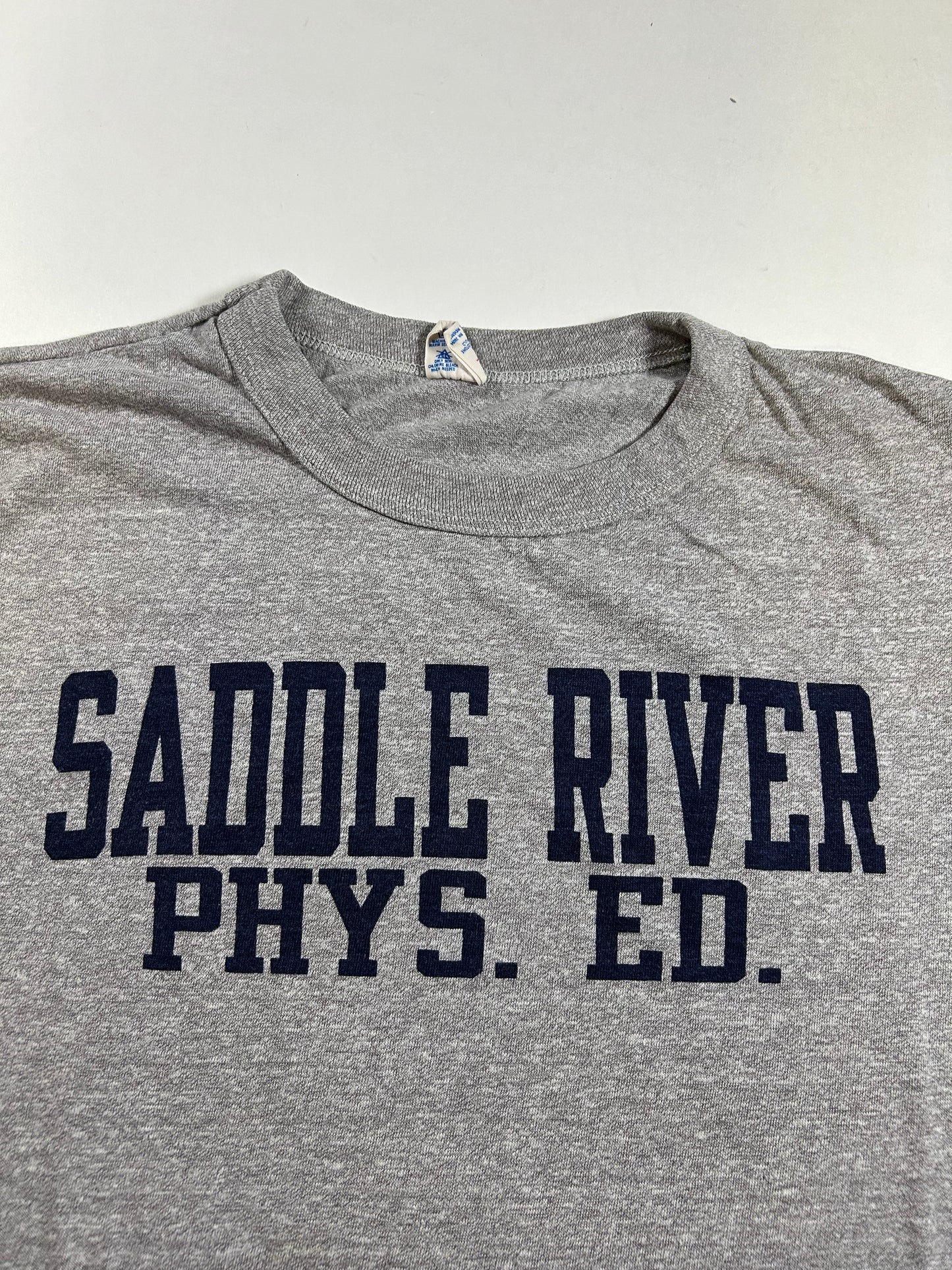 Vintage Champion Saddle River Phys. Ed. Gym Graphic Tee Gray 80s USA 50/50 21.75x26.25 Inches