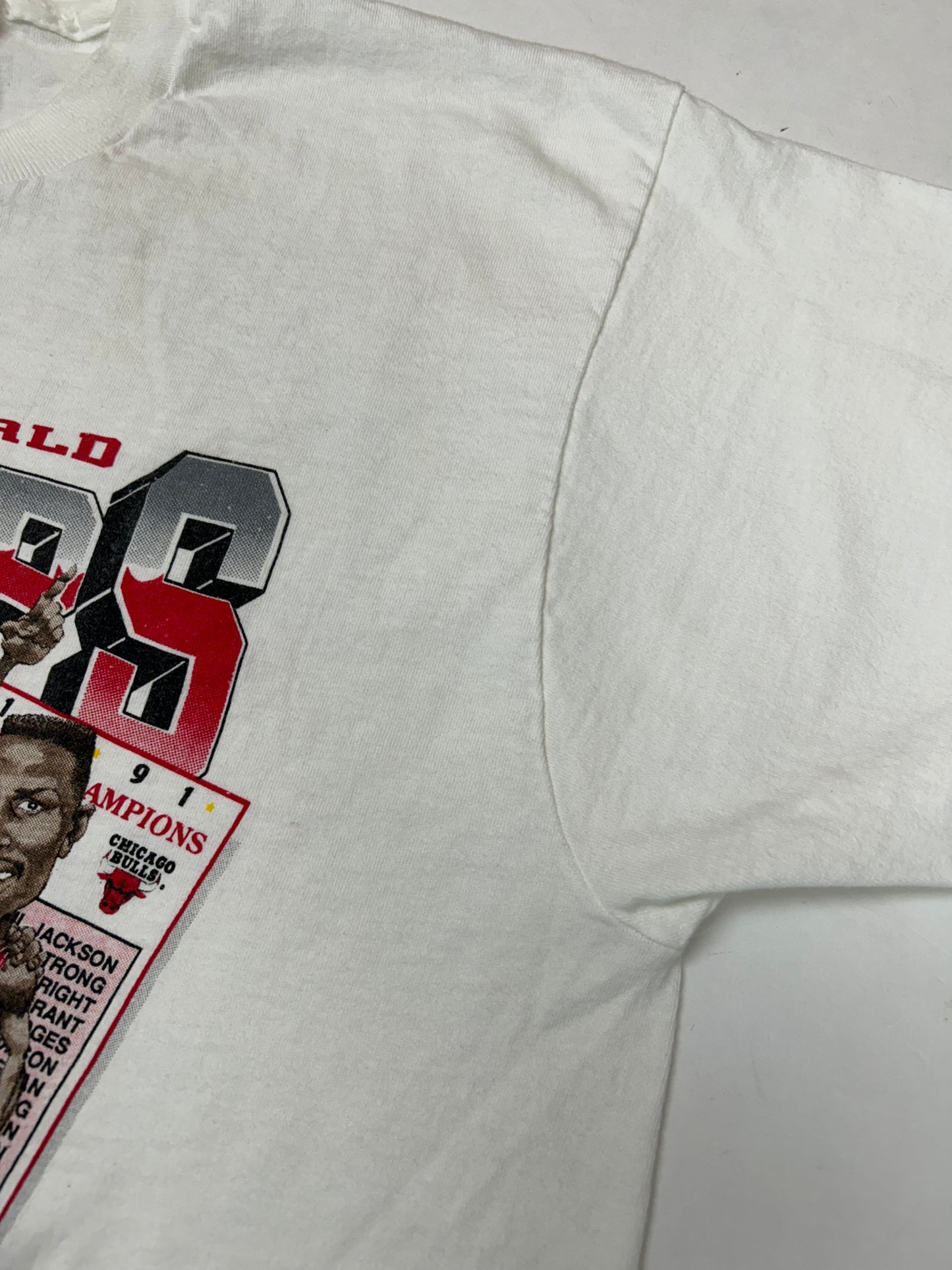 Vintage 1991 Chicago Bulls NBA World Champs Caritcure Team First Championship Salem Sportswear Graphic Tee L/XL 22.25x30.75 Inches