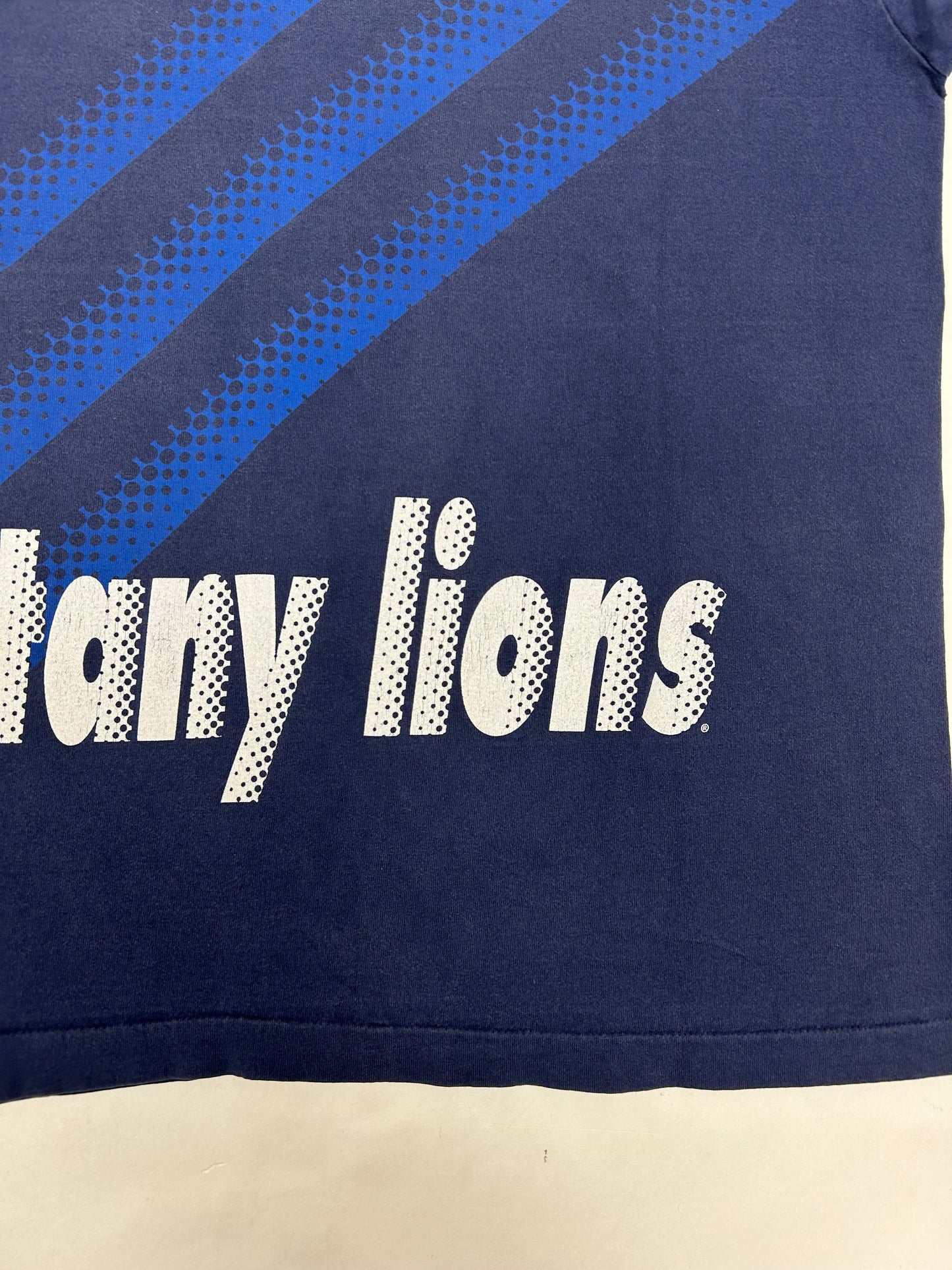 Vintage Salem Sportswear Penn State Nittany Lions NCAA College Tee 24.5x29.75 Inches