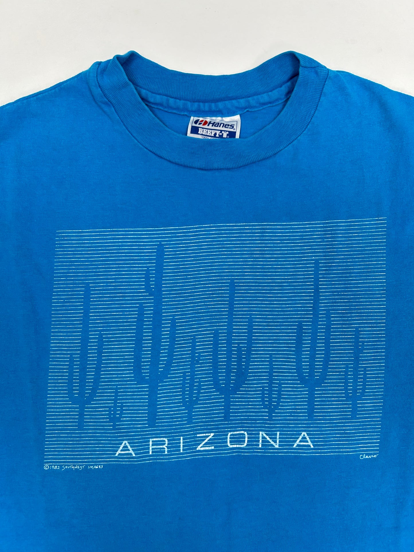 Vintage 80s Arizona Cactus Desert Graphic Tee Fits Medium 20.5x29 Inches