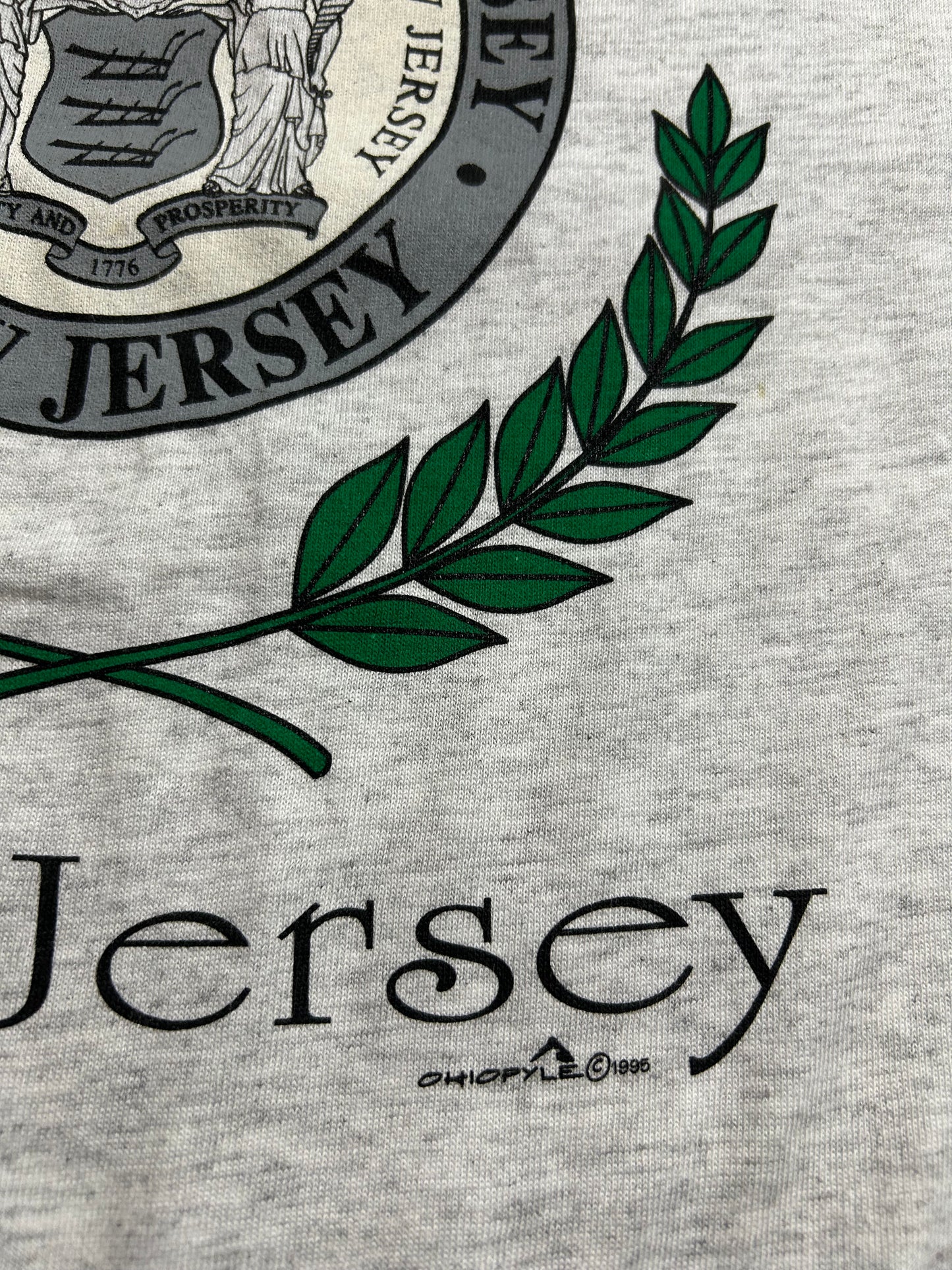 Vintage 1995 Fair Lawn New Jersey Town Tee XL 24.5x31.5 Inches Gray