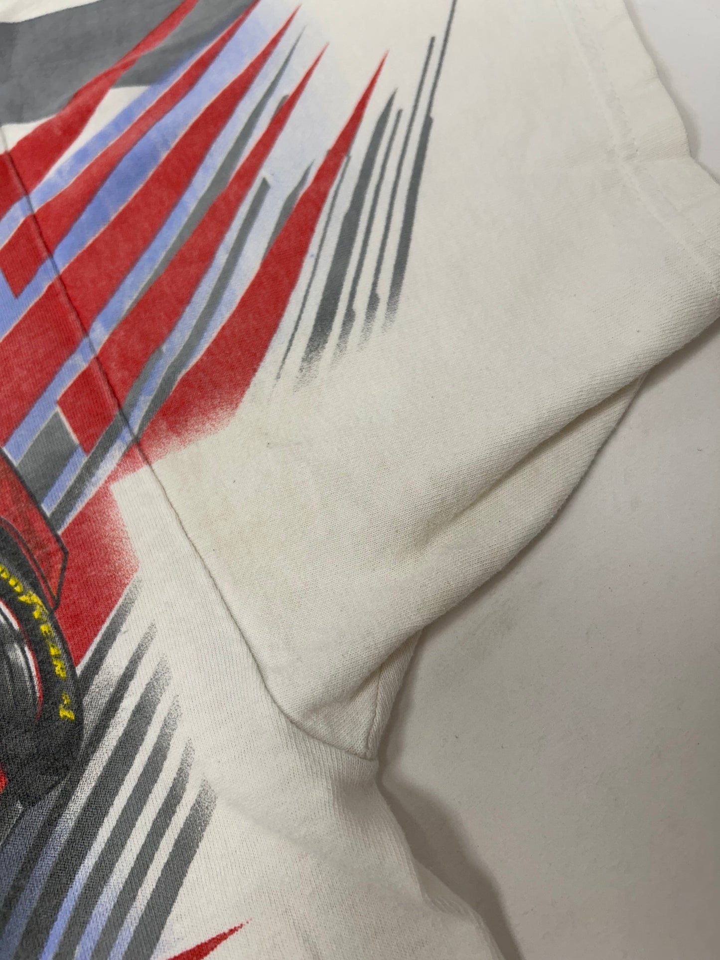 Vintage Chase Authentics NASCAR Dodge R/T Evernham #19 Dare To Be Different XL 25x29.5 Inches As Is