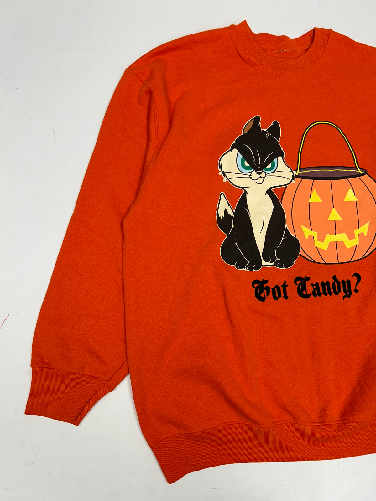 Vintage 2004 Looney Tunes Halloween Got Candy? Cat & Pumpkin Graphic Crewneck Sweatshirt L/XL Fit 24.75x30 Inches