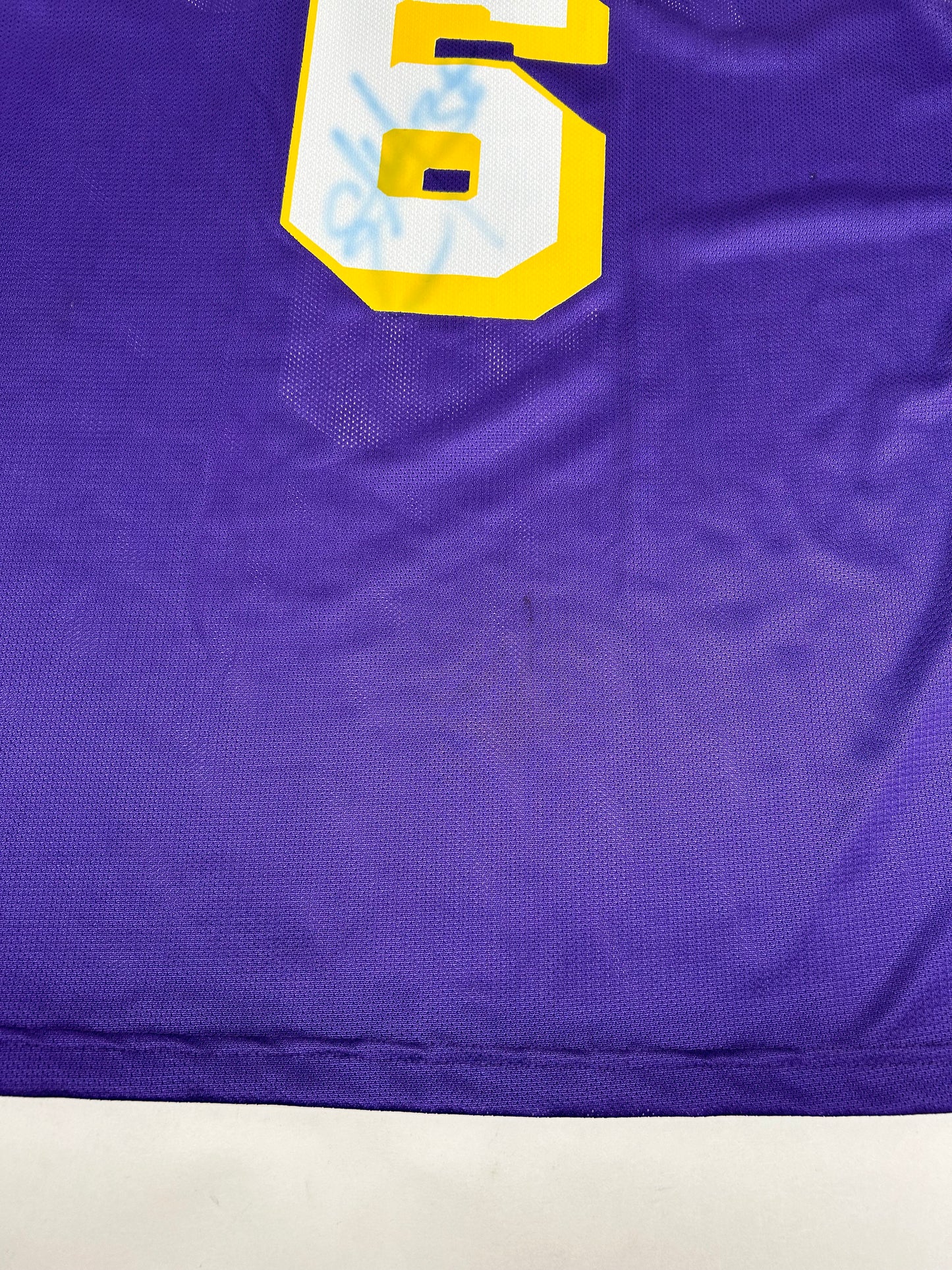 Vintage 90s Champion Los Angeles Lakers NBA Eddie Jones #6 Jersey Purple Size 44 Large 22.76x32.25 Inches