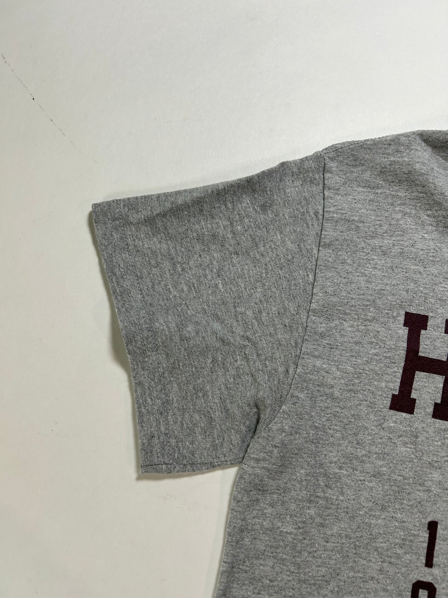 Stranger Things Hawkins Middle School A.V. Club 1983 TV Show Tee Small 17.75x26.5 Inches Gray