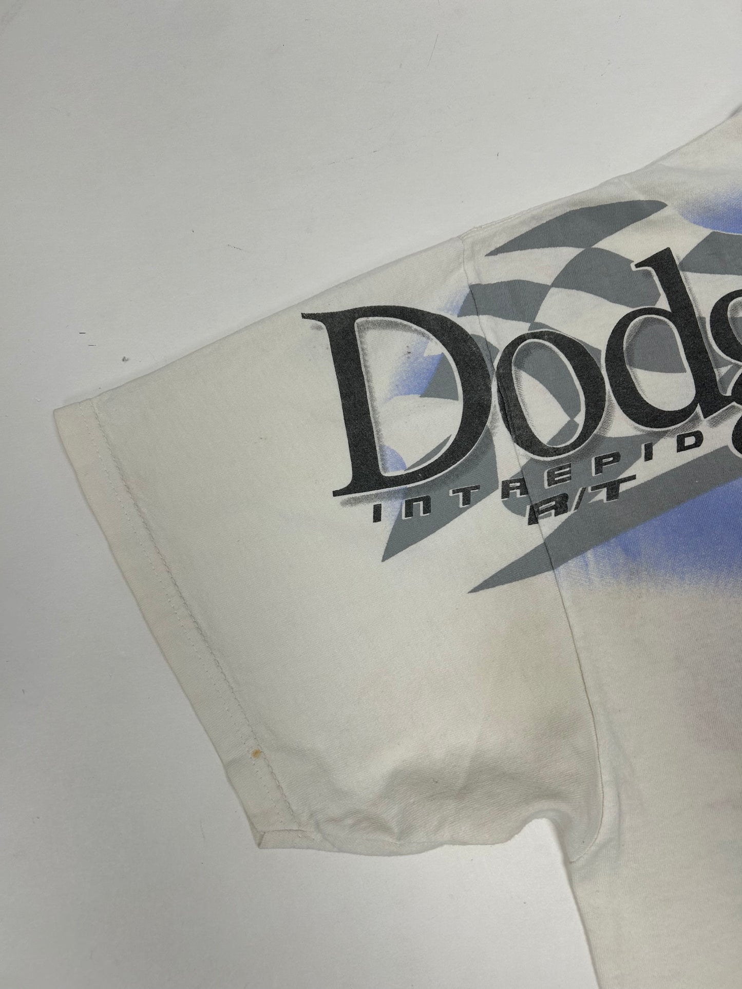 Vintage Chase Authentics NASCAR Dodge R/T Evernham #19 Dare To Be Different XL 25x29.5 Inches As Is