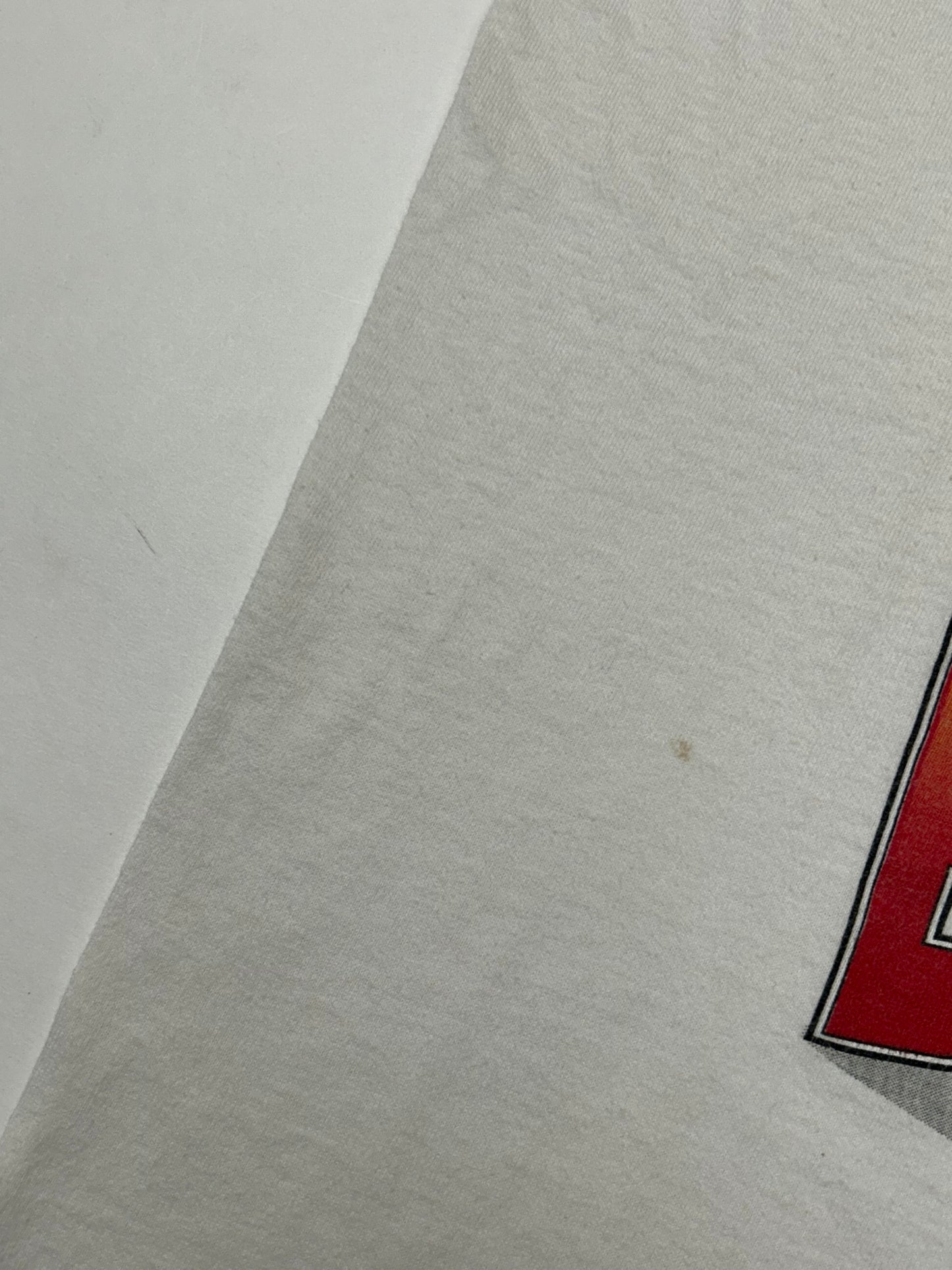 Vintage 1992 Chicago Bulls 2 Time NBA World Champs Caritcure Team Salem Sportswear Graphic Tee Large/Medium Fit 20.75x Inches