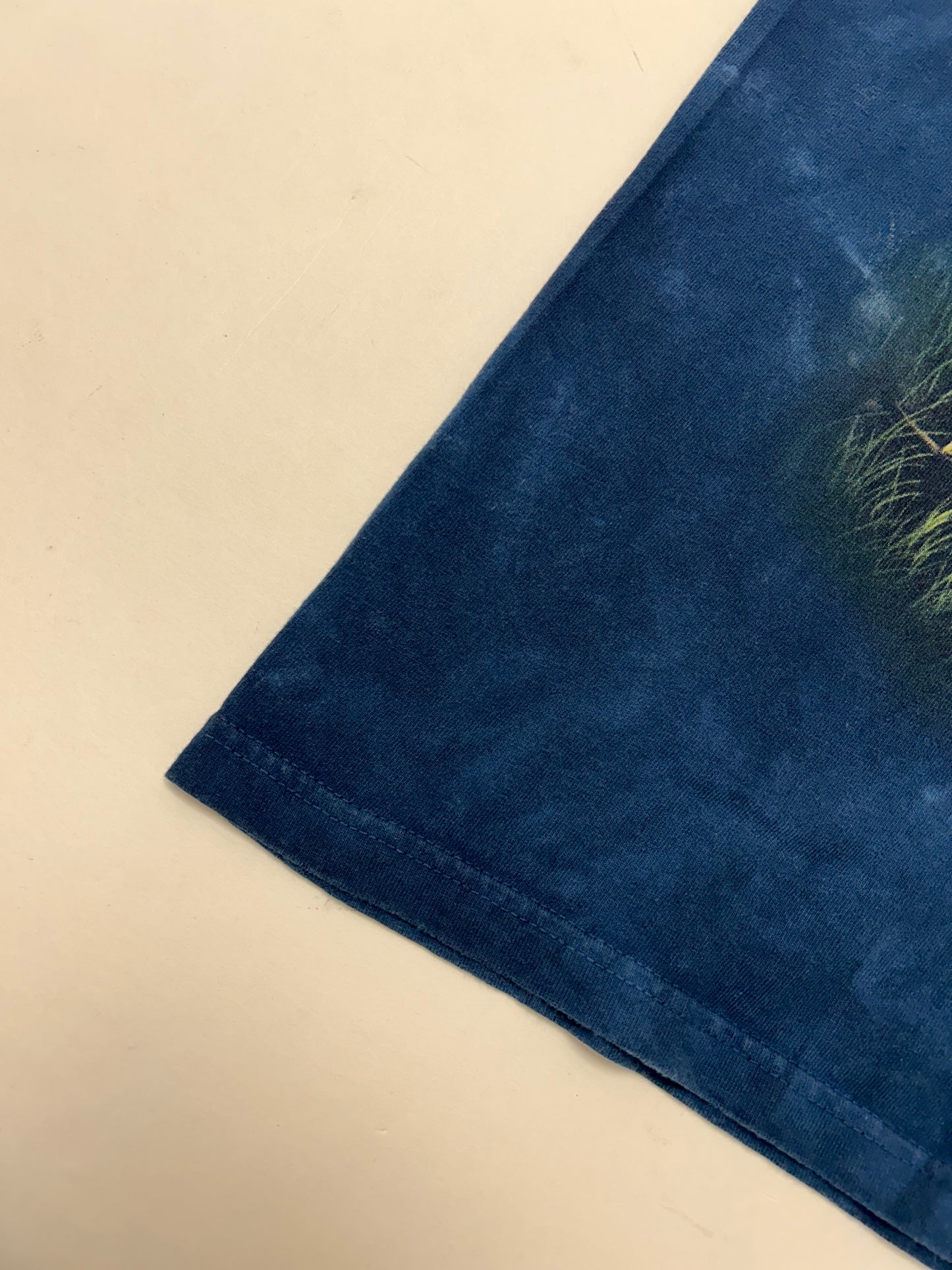 Vintage 2000s Dinosaur Tie-dye Tee XL 25x31 Inches