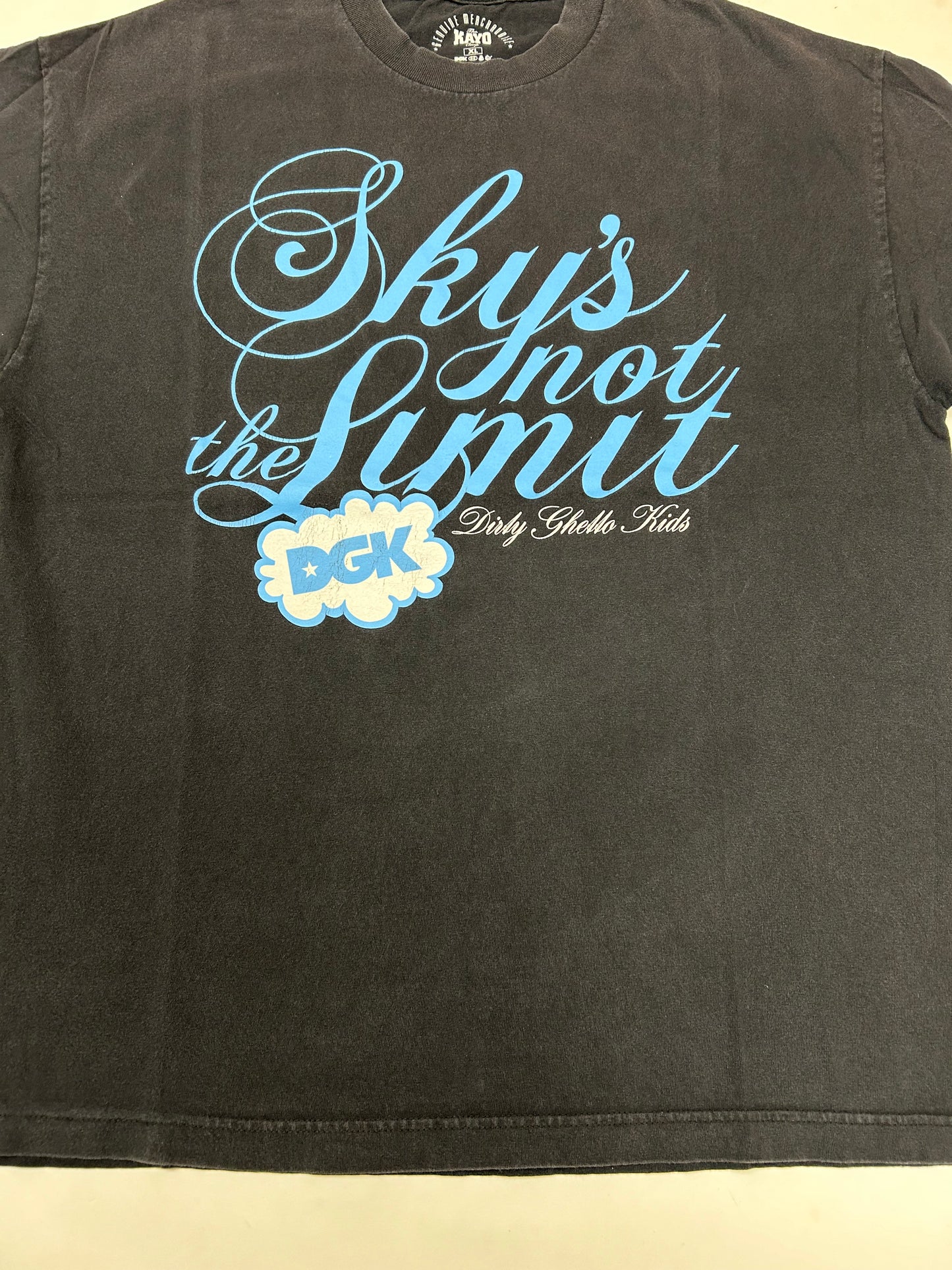 Vintage 2000s DGK Dirty Ghetto Kids Sky’s Not The Limit Skate Tee Skateboarding XL 23.5x30 Inches