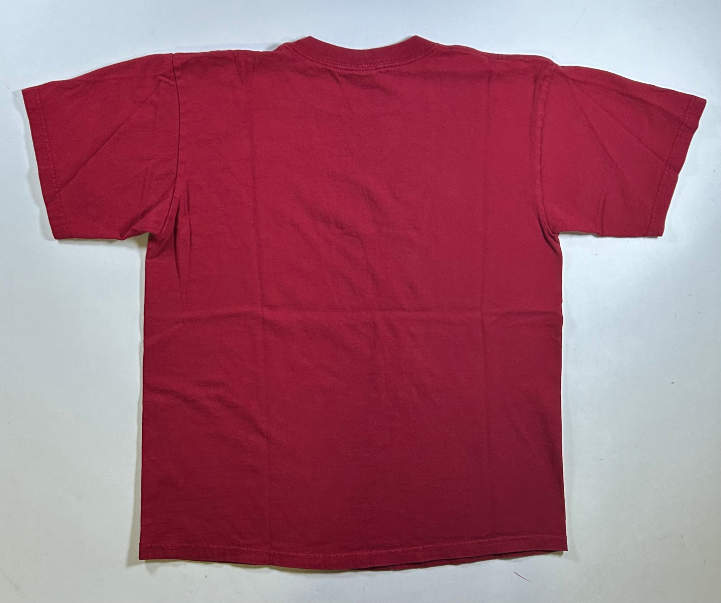 Vintage Disney Goofy’s Wildnerness Tour Goofy Red T-shirt Medium 20.5x25.5 Inches