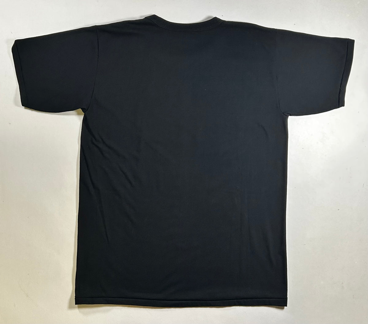 Vintage Pittsburgh Steelers Team Of The Decade 1979 NFL Gel Team Photo Tee Russell L/XL Fit 22x29.5 Inches